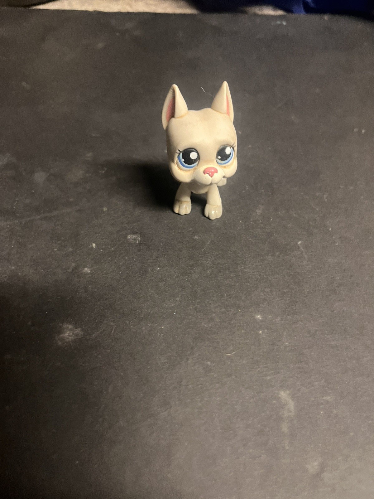 Littlest Pet Shop Great Dane Gray #1688 Hasbro LPS Authentic Grey With Pink Ears Littlest Pet Shop Great Dane Gray #1688 Hasbro LPS Authentic Grey With Pink Ears