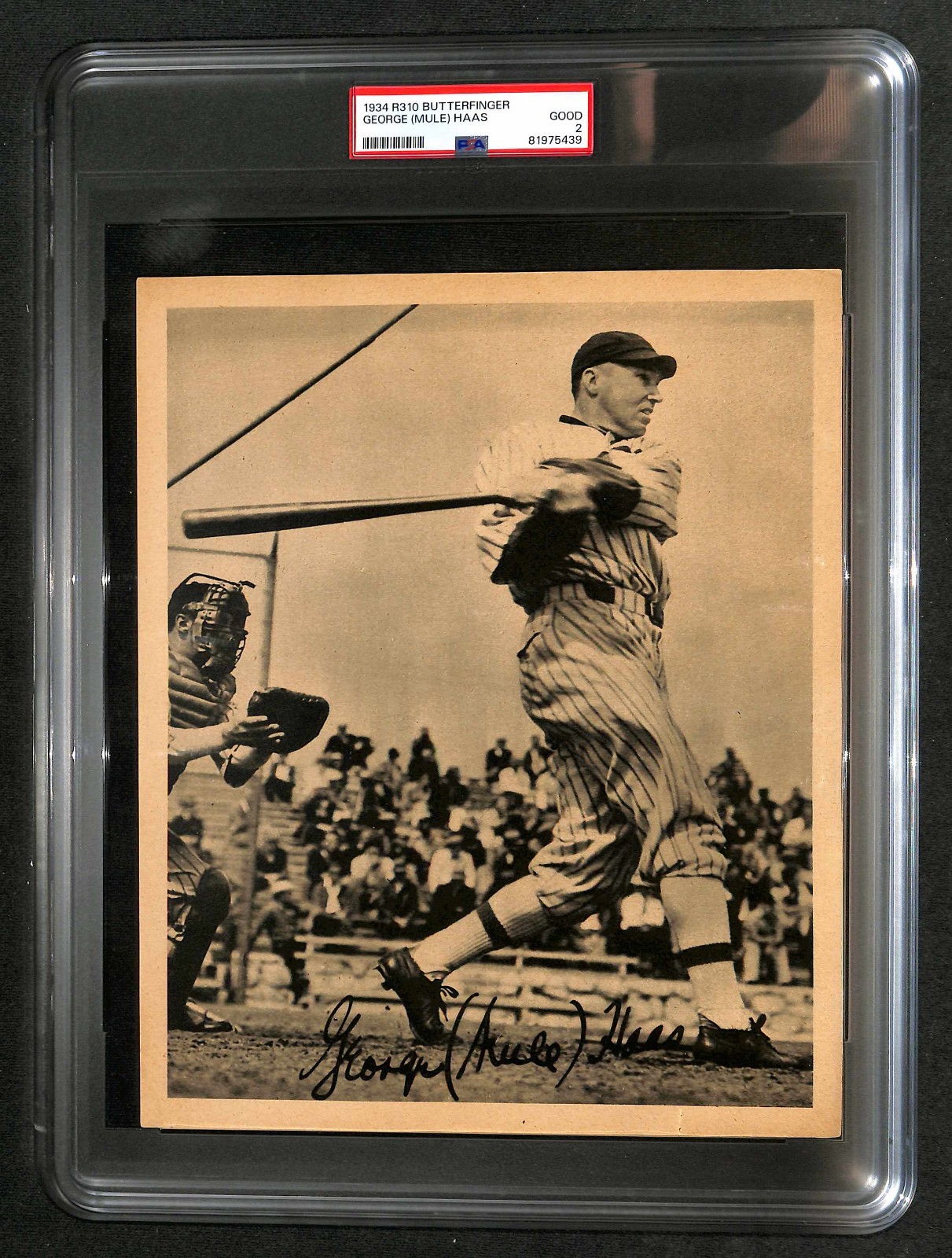 1934 R310 BUTTERFINGER GEORGE (MULE) HAAS - PSA 2 GD 1934 R310 BUTTERFINGER GEORGE (MULE) HAAS - PSA 2 GD