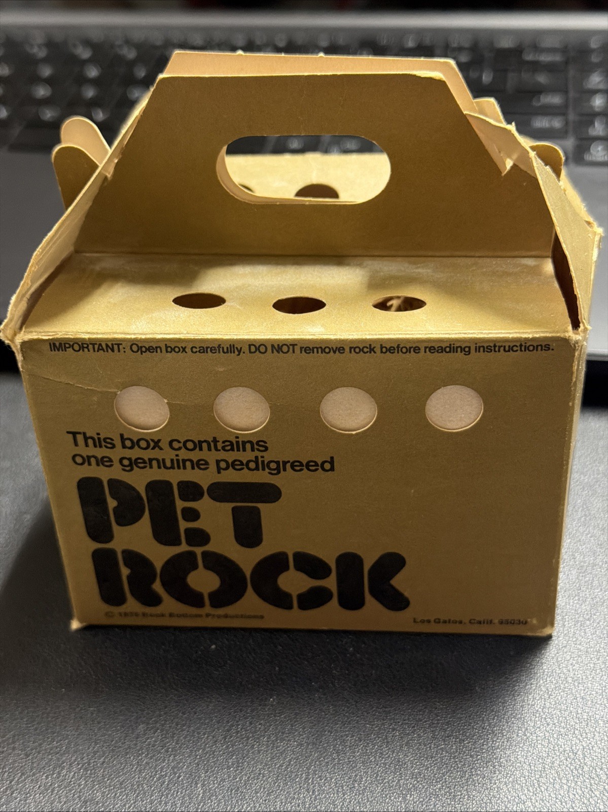 Vintage 1975 One Genuine Pedigreed Pet Rock Complete Set Vintage 1975 One Genuine Pedigreed Pet Rock Complete Set