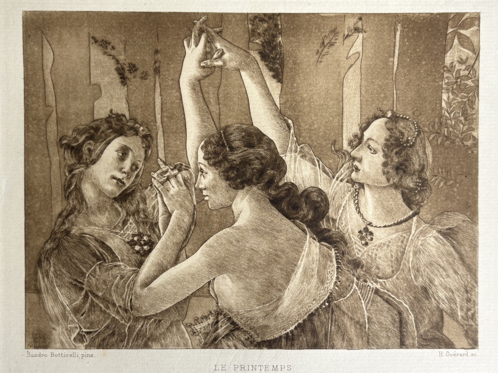 Sandro Botticelli Henri Guerard Engraving Eau Forte Etching Le Printemps Allegory Sandro Botticelli Henri Guerard Engraving Eau Forte Etching Le Printemps Allegory