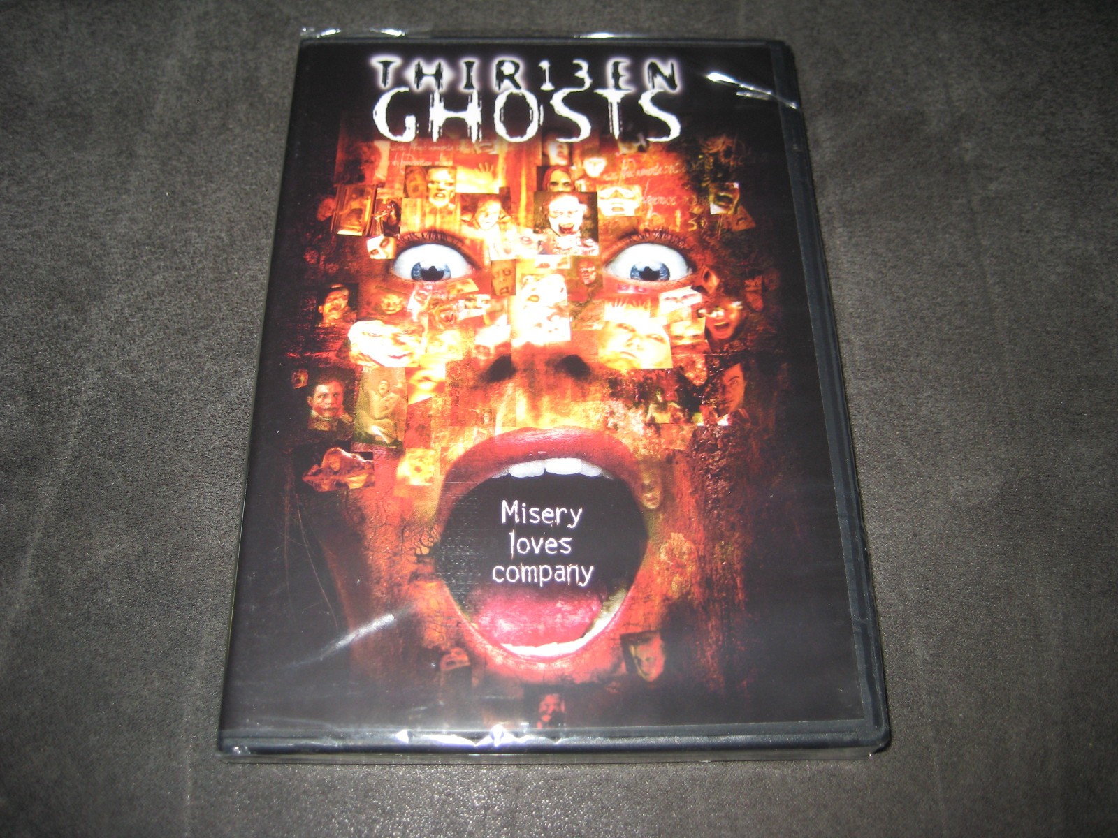 THIR13EN GHOSTS (DVD 2010) BRAND NEW - RATED R - WIDESCREEN - HORROR - THRILLER