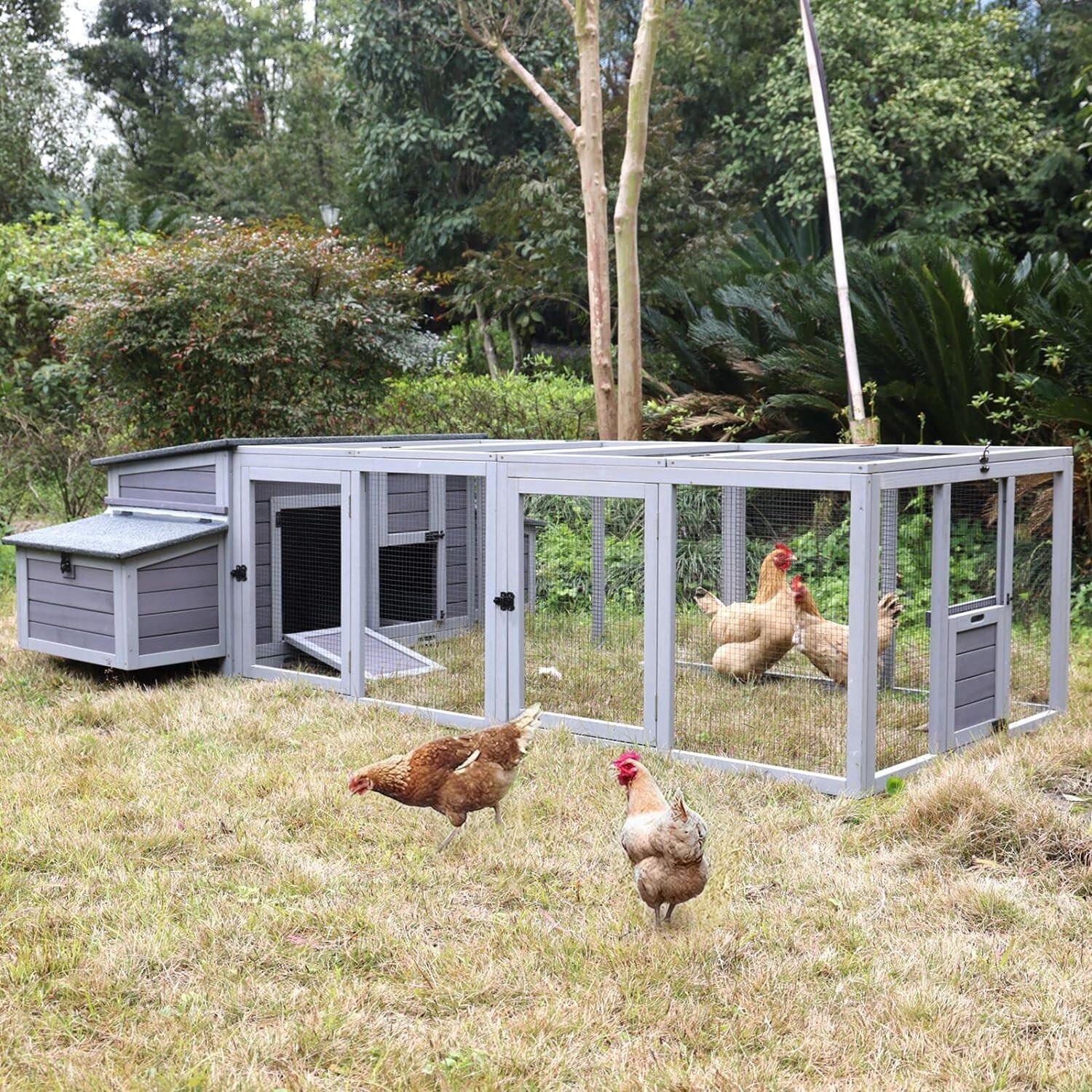Aivituvin Chicken Coop 103