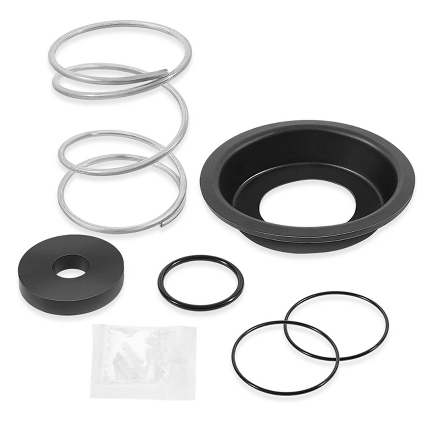 RK212-375 Complete Relief Valve Repair Kit for ZURN Wilkins 2-1/2\