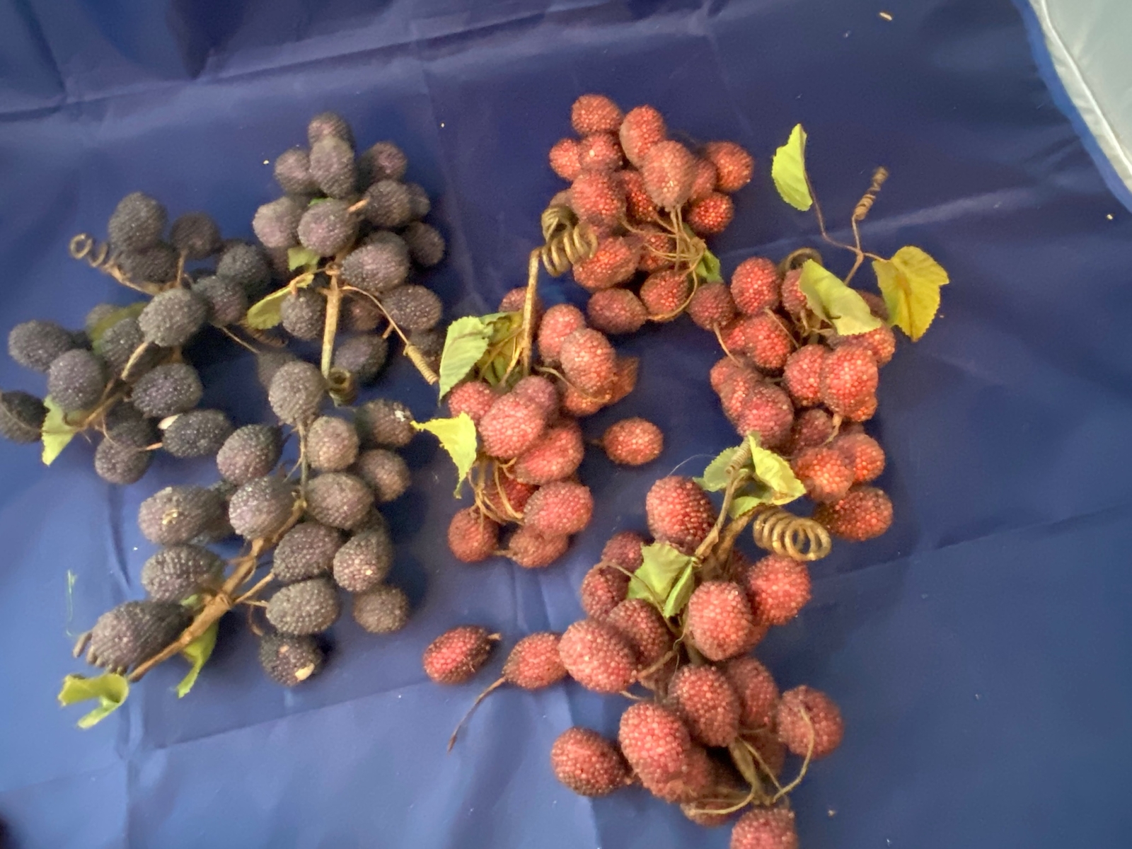Vintage Fruit Raspberries Blackberries Beaded Faux Decor Lot of 7 Bunches