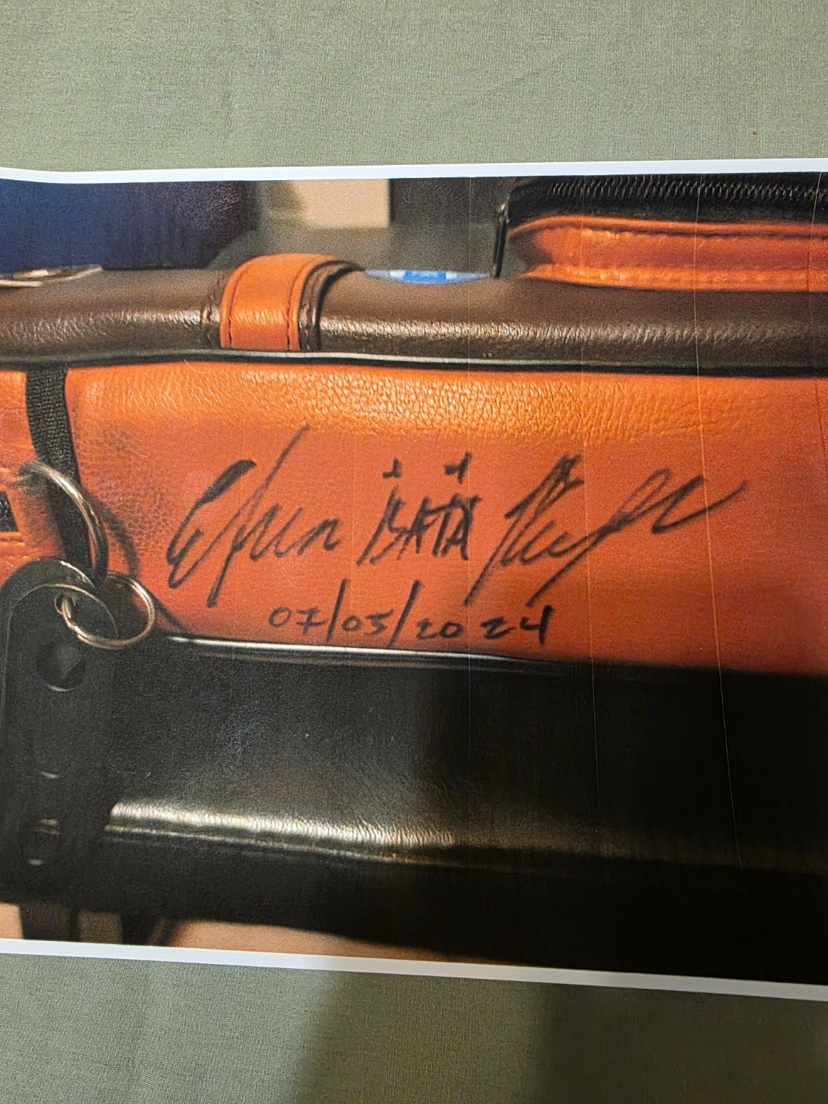 Efren Bata Reyes Signed 4x8 Cue Case + Signed 12 Ball Billiards Lot