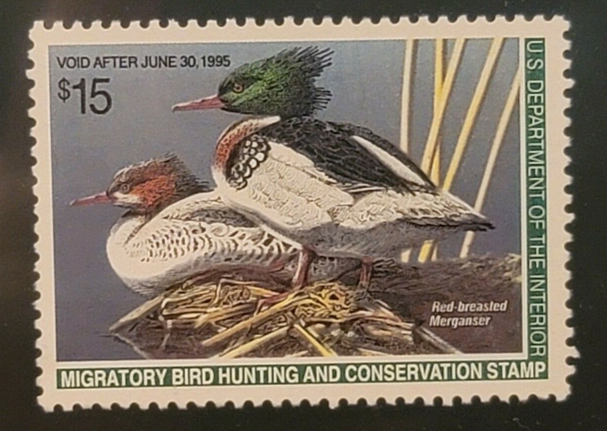 Scott#: RW61 - Red-breasted Mergansers MNHOG XF90 with PSE certificate