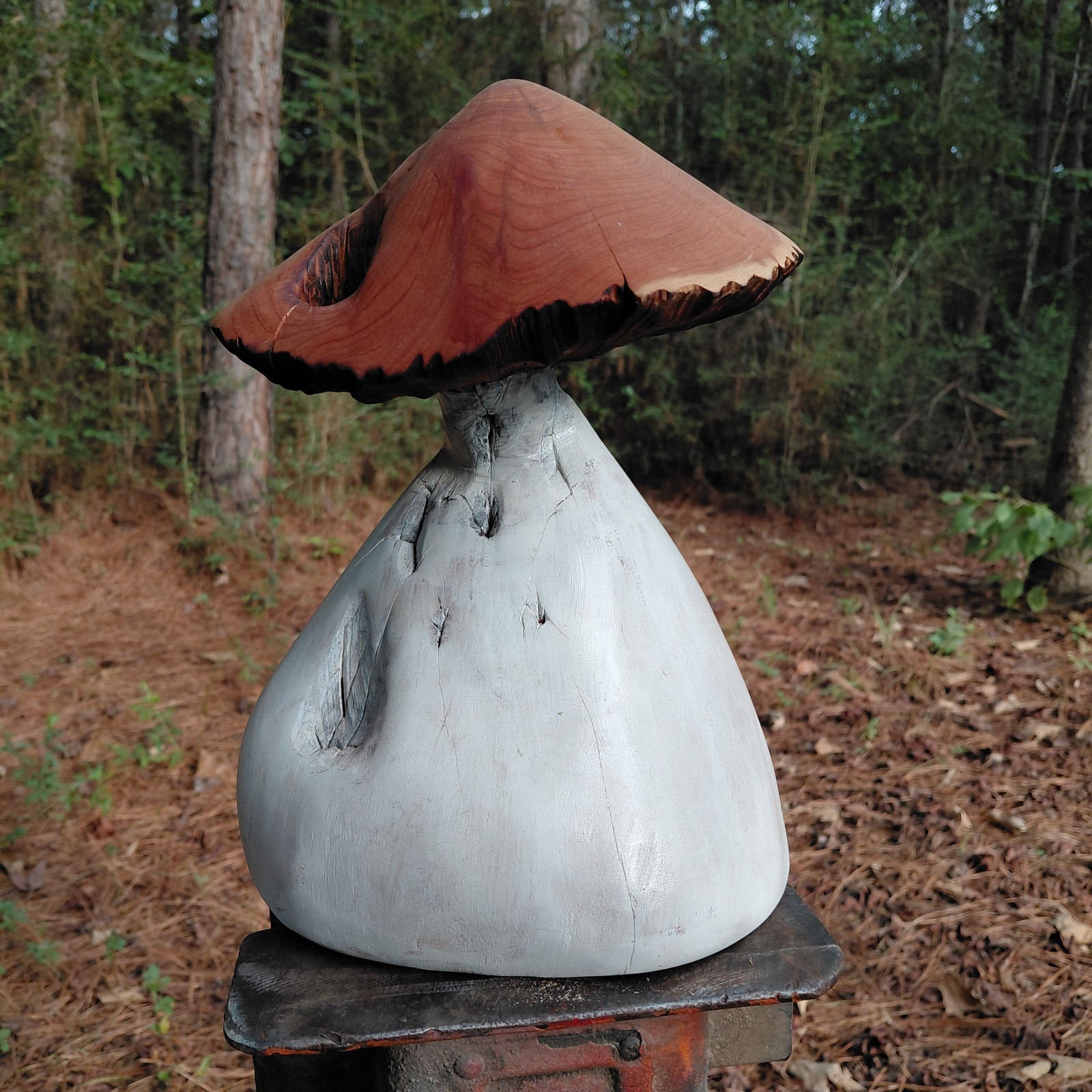 Chainsaw Carving Mushroom Wood Carving Mushrooms Cedar 11in Tall Handmade 