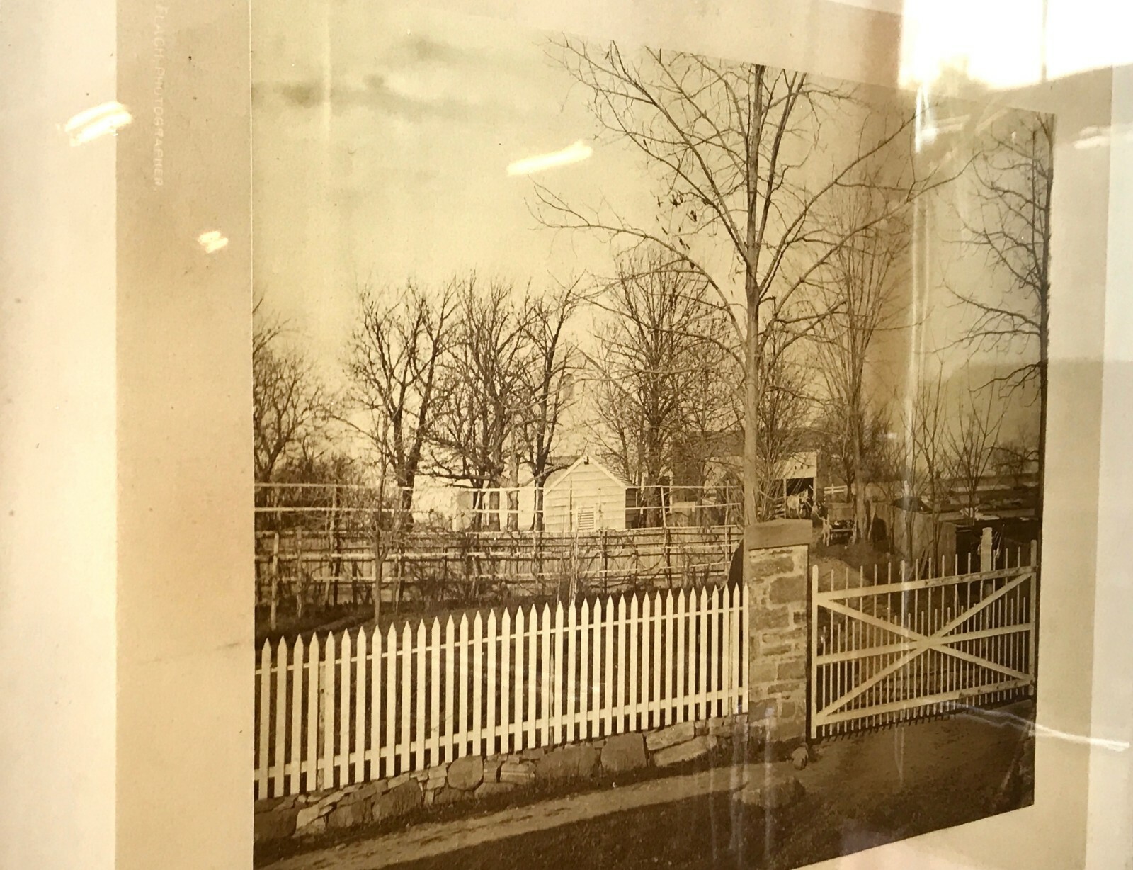 Antique Albumen Photograph Picket Fence and Backyard