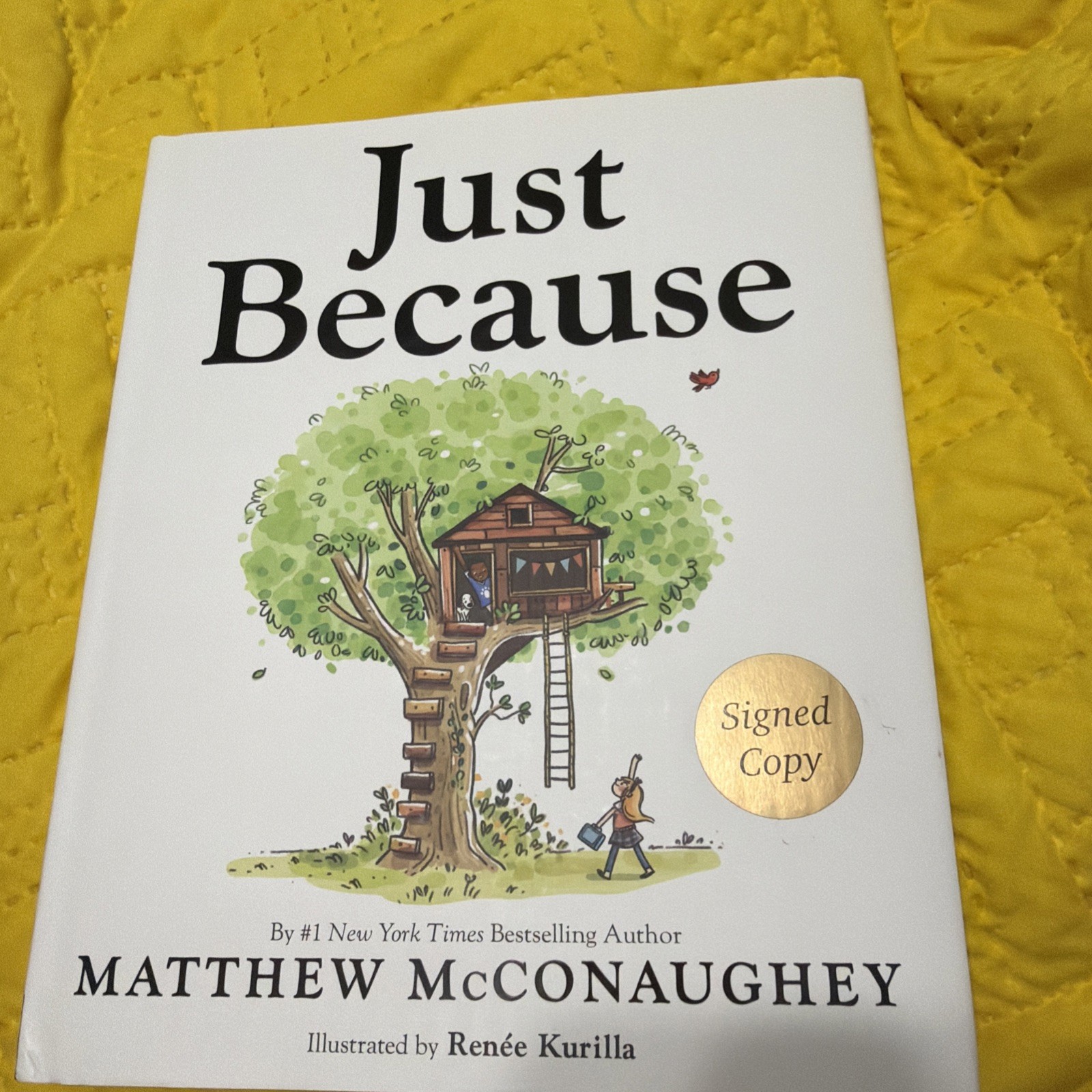 Just Because Matthew McConaughey SIGNED (2023,HCDJ, 1ST PRINTING) Just Because Matthew McConaughey SIGNED (2023,HCDJ, 1ST PRINTING)