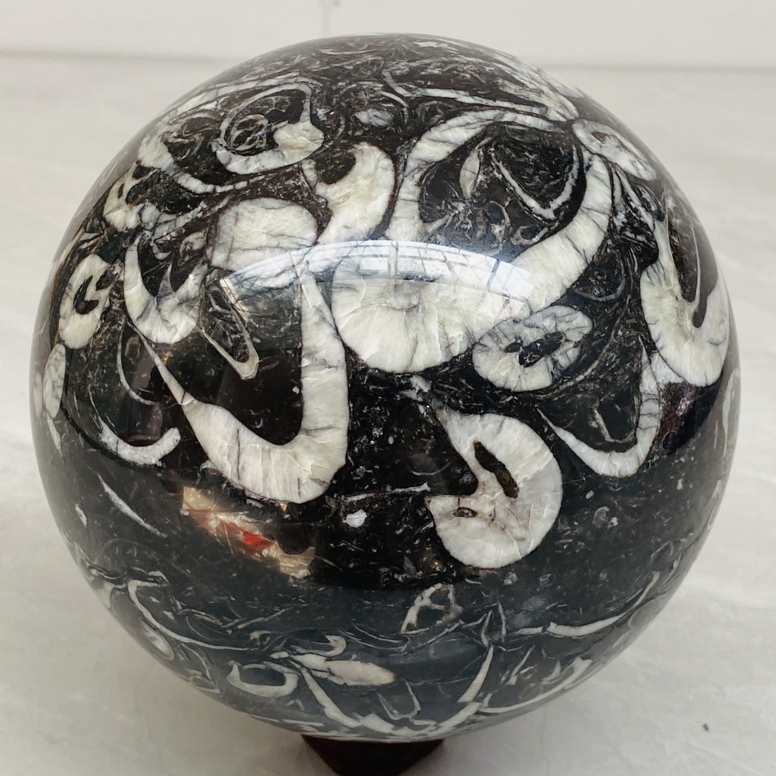 Natural Shell Jasper Thousand Eye Stone Crystal Polished Ball Healing (8.06LB)