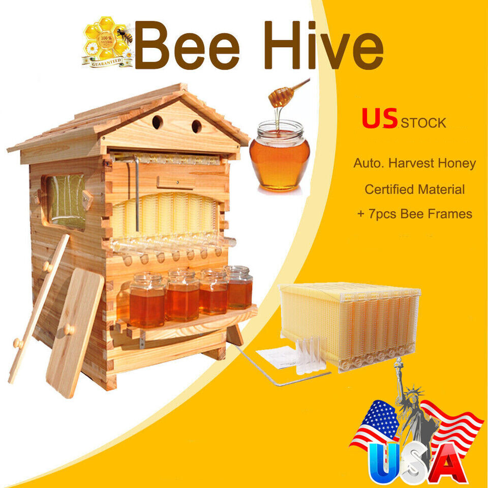 Auto Seep Full Set 7PCS Beehive Honey Hive Frame +Cedarwood Beekeeping Brood Box