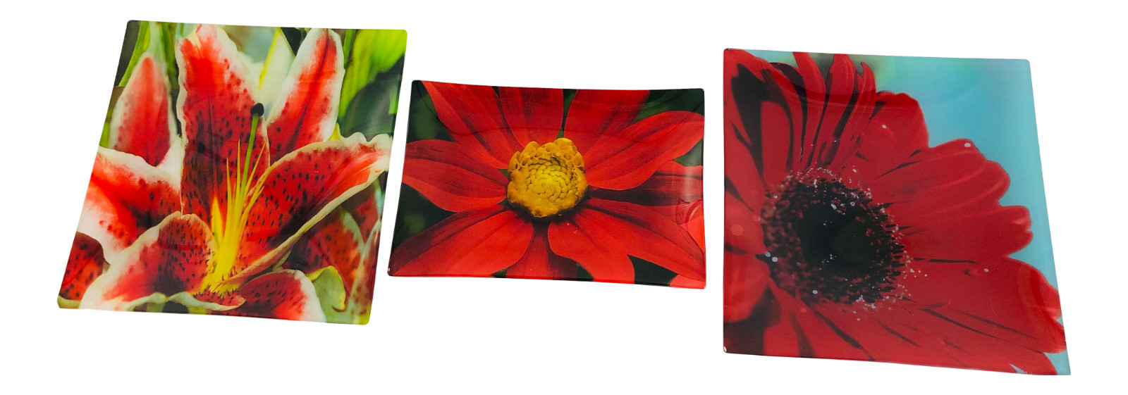 Vintage Prima Donna Red Flower Plates, Set of 3 Vintage Prima Donna Red Flower Plates, Set of 3