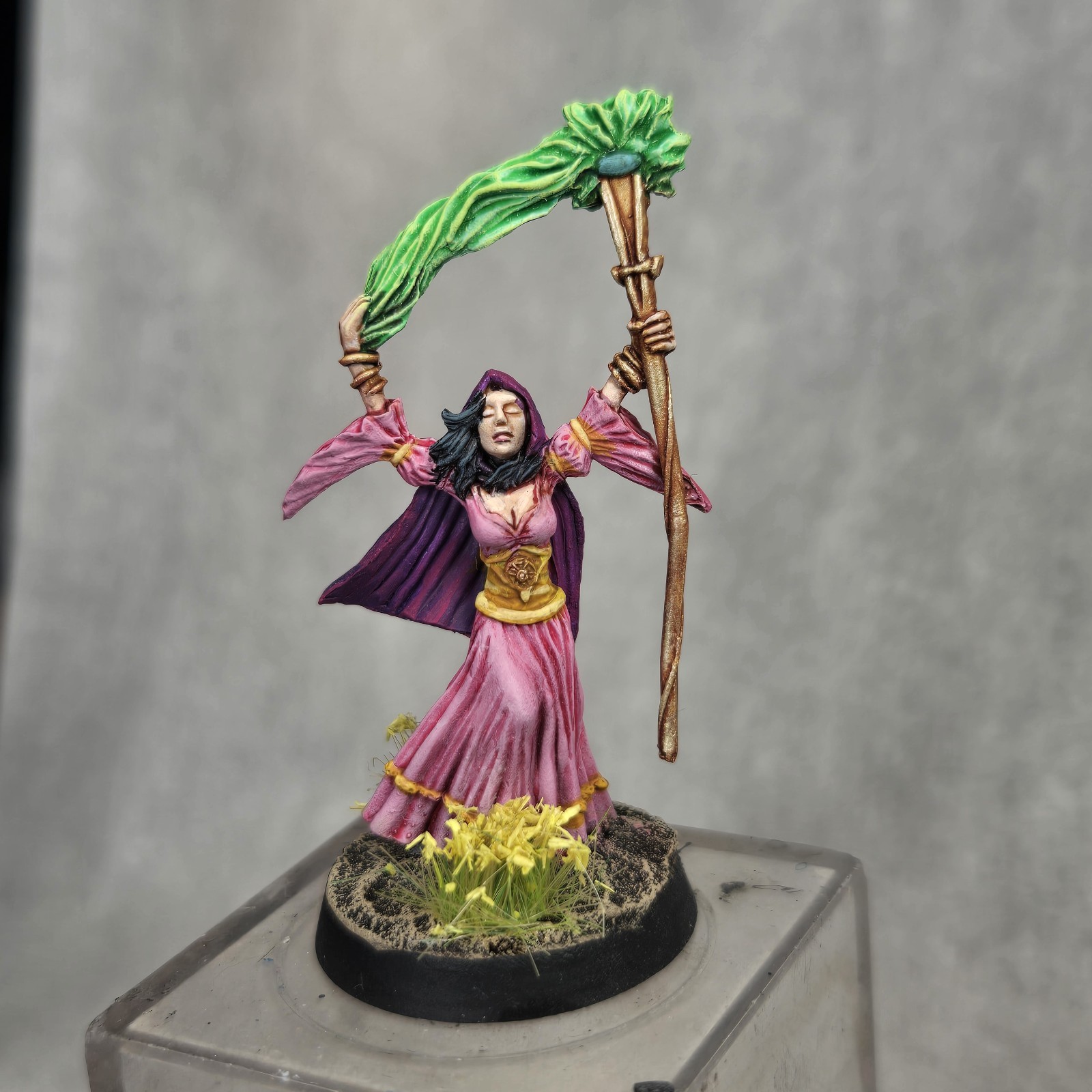 Painted Dungeons & Dragons Pathfinder 28mm Fantasy Female Wizard Mage Princess