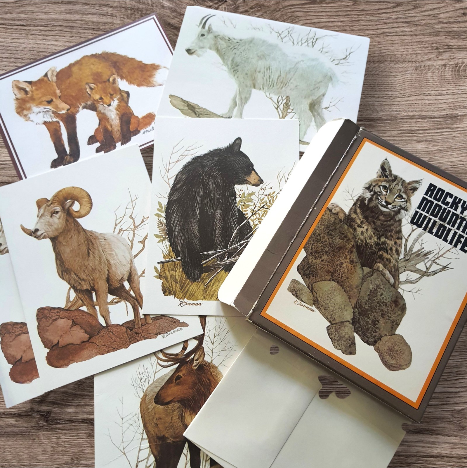 VTG 1980 Lot Of 6 Blank Animal Greeting Cards Rocky Mt Wildlife LK Powel Current