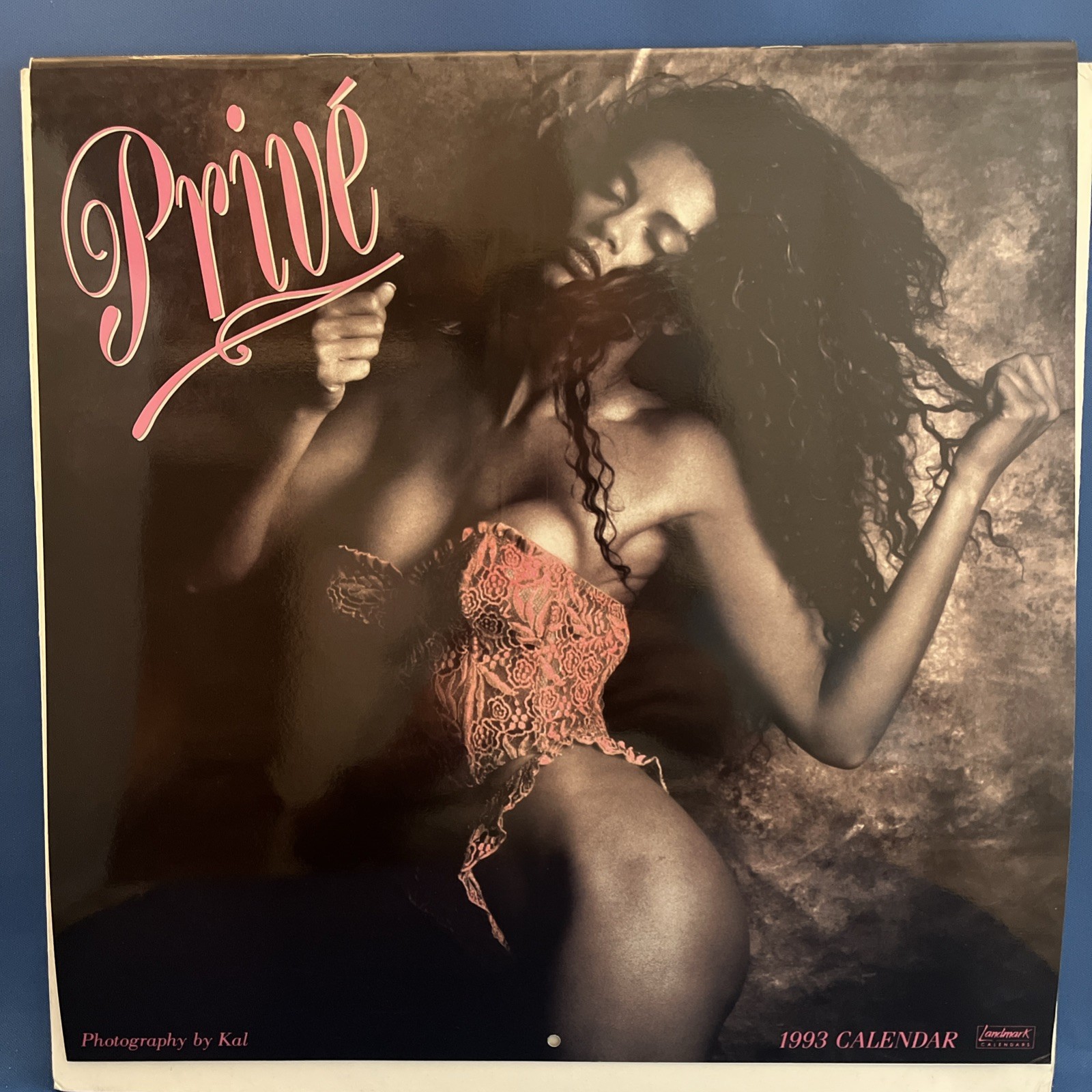 VINTAGE Prive 1993 Pinup Girl Wall calendar - Works For 2027 VINTAGE Prive 1993 Pinup Girl Wall calendar - Works For 2027