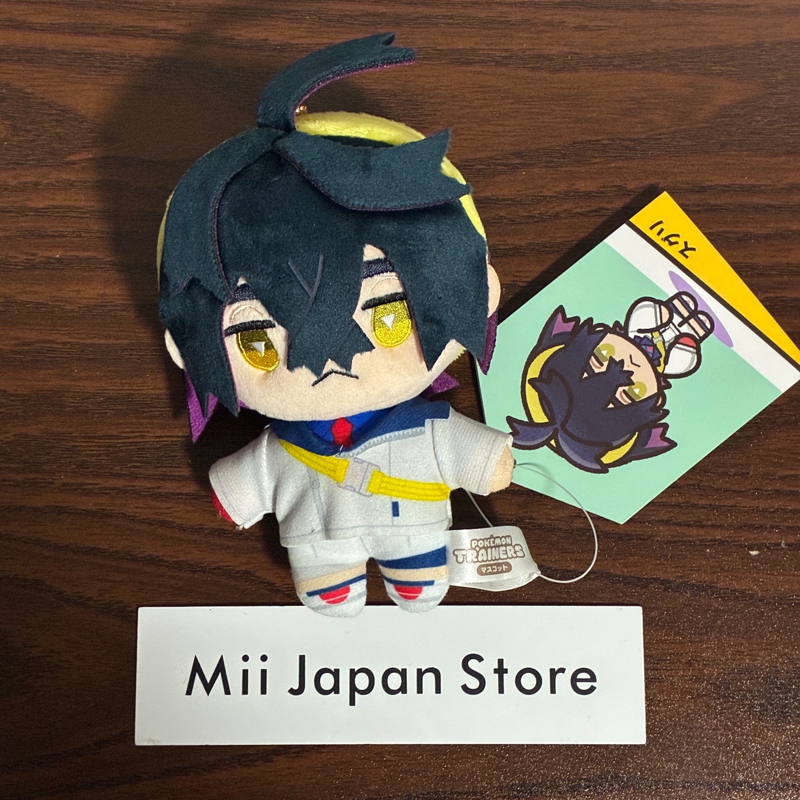 POKÉMON TRAINERS Kieran Plush Doll Mascot 6.69