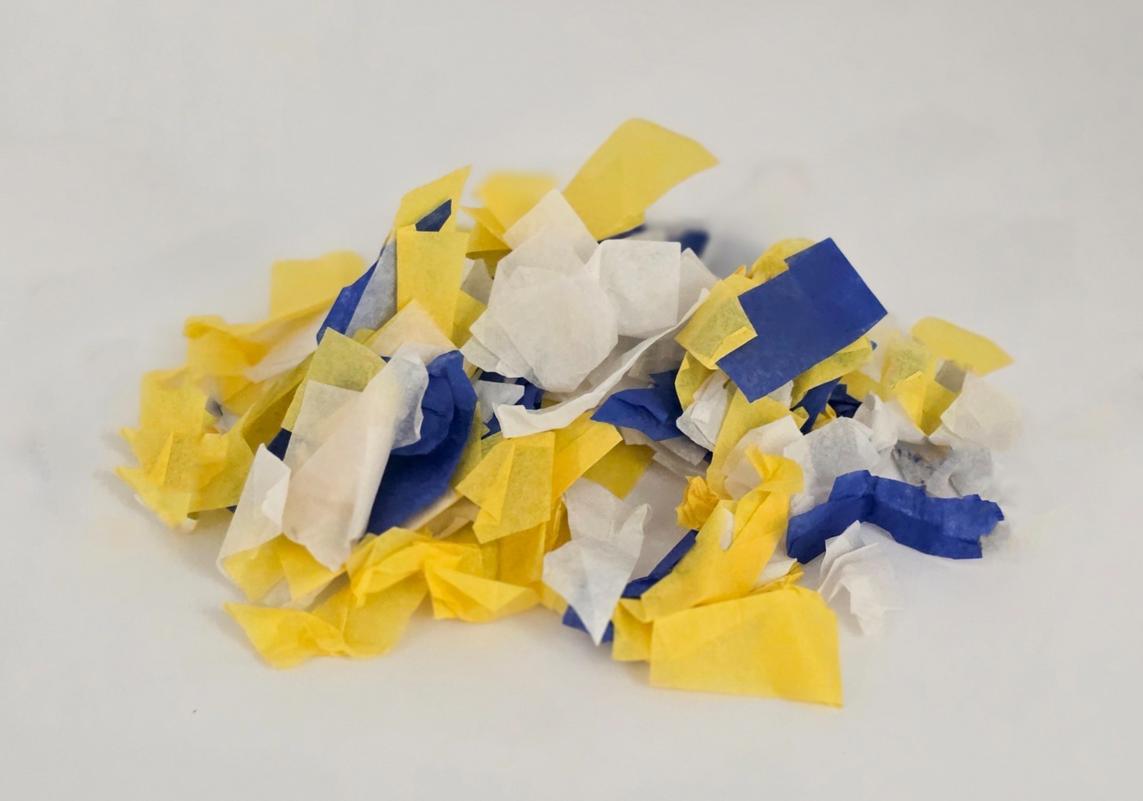 2024 - CONFETTI - Brad Keselowski  #6 - Goodyear 400 - Victory Lane