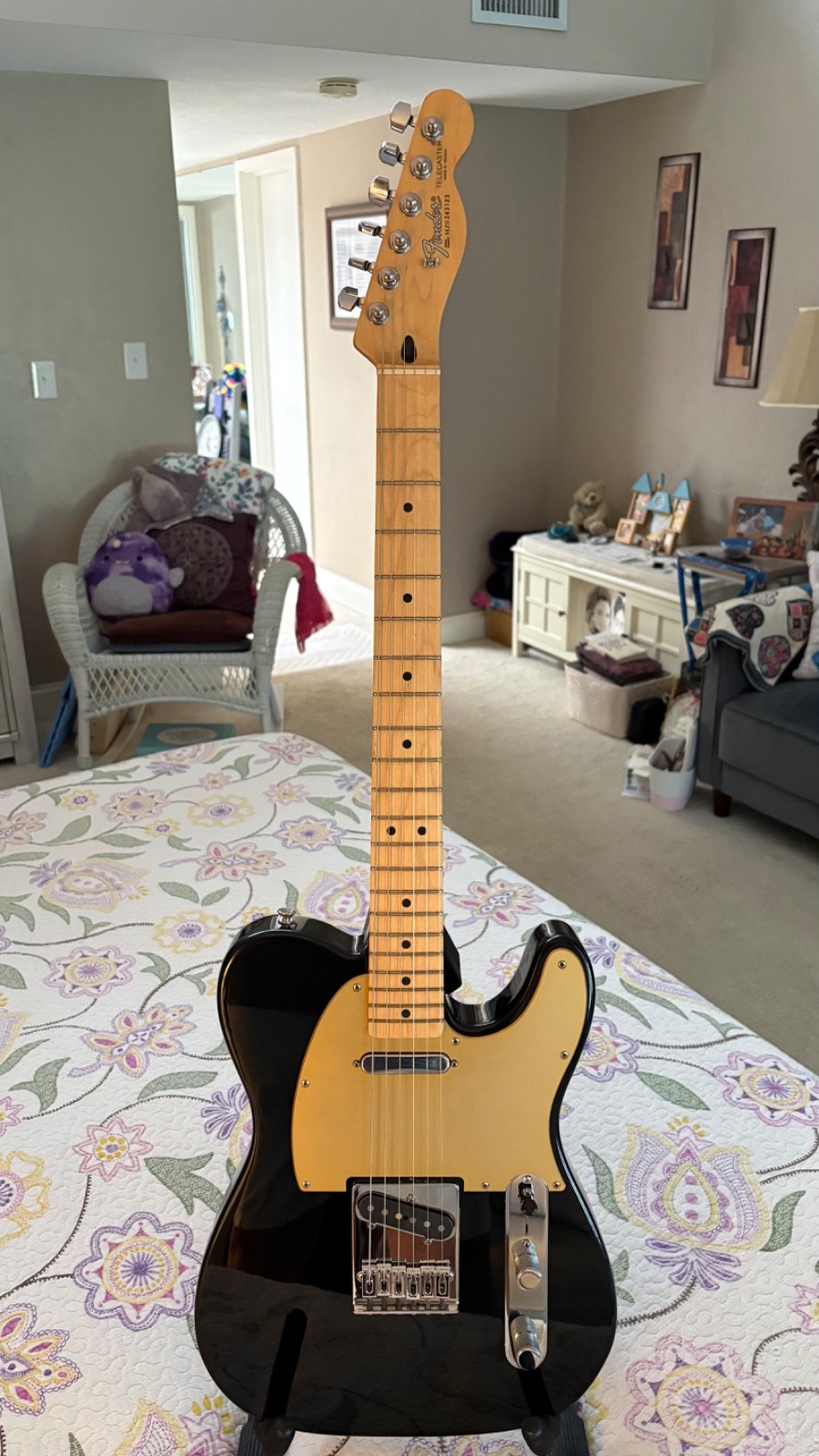 2000 Fender Standard Telecaster MIM Black Gold Maple Neck + Road Runner Gig Bag