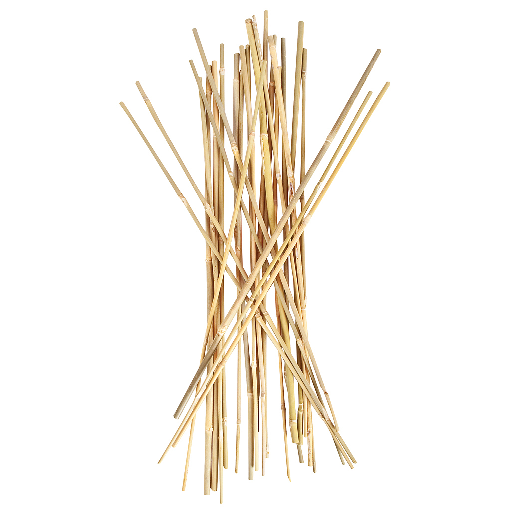 2Ft Bamboo Stakes 25 Pack Plant Support 2Ft Bamboo Stakes 25 Pack Plant Support