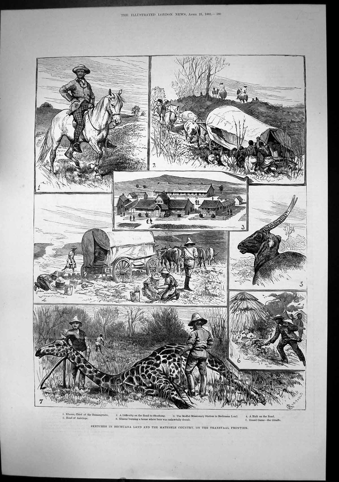 Old Antique Print Bechuana Land Matebele Country Transvaal Giraffe 1883 19th