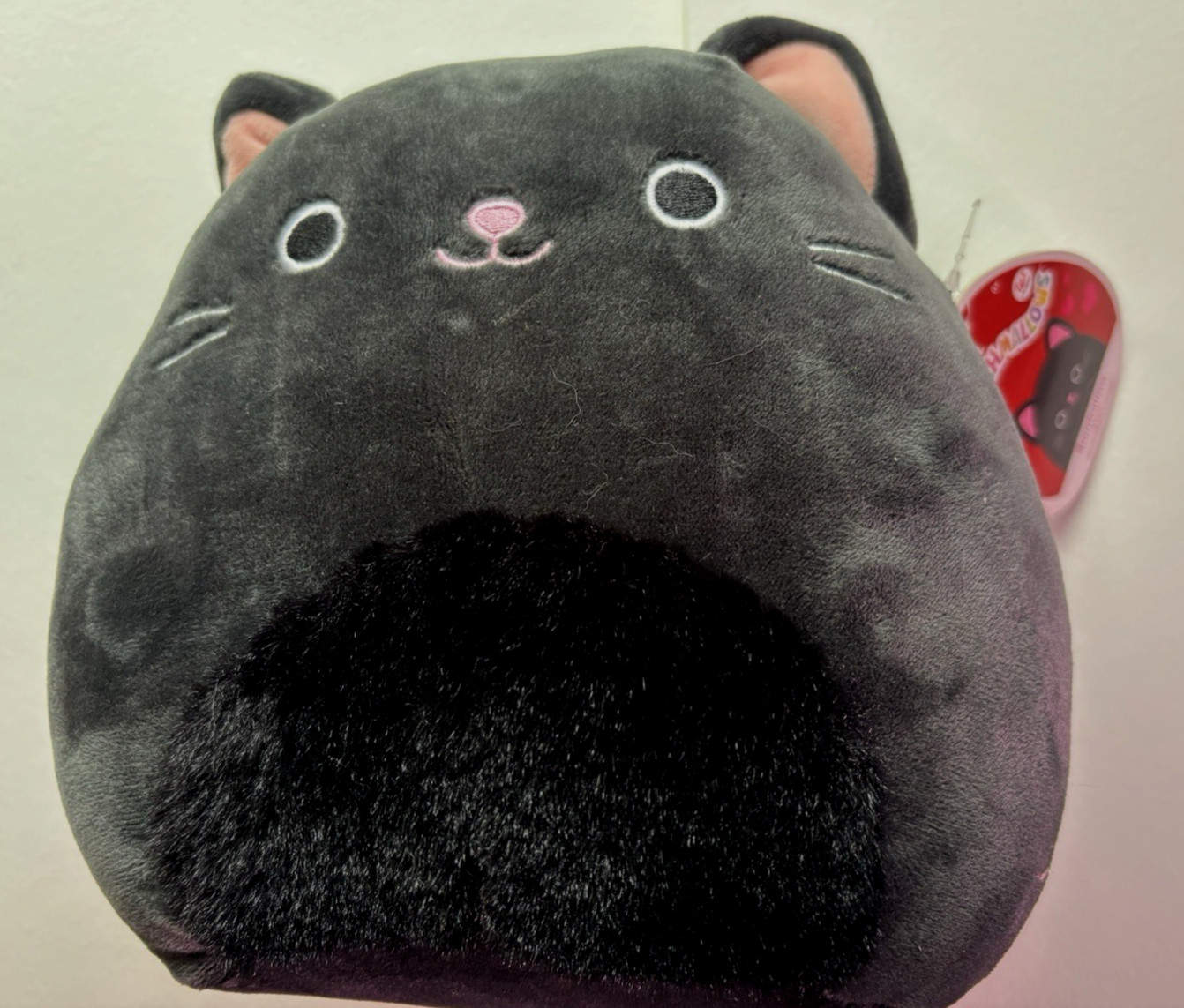 Walgreens Exclusive Bambalina Squishmallow new NWT Black Cat Kitty Halloween