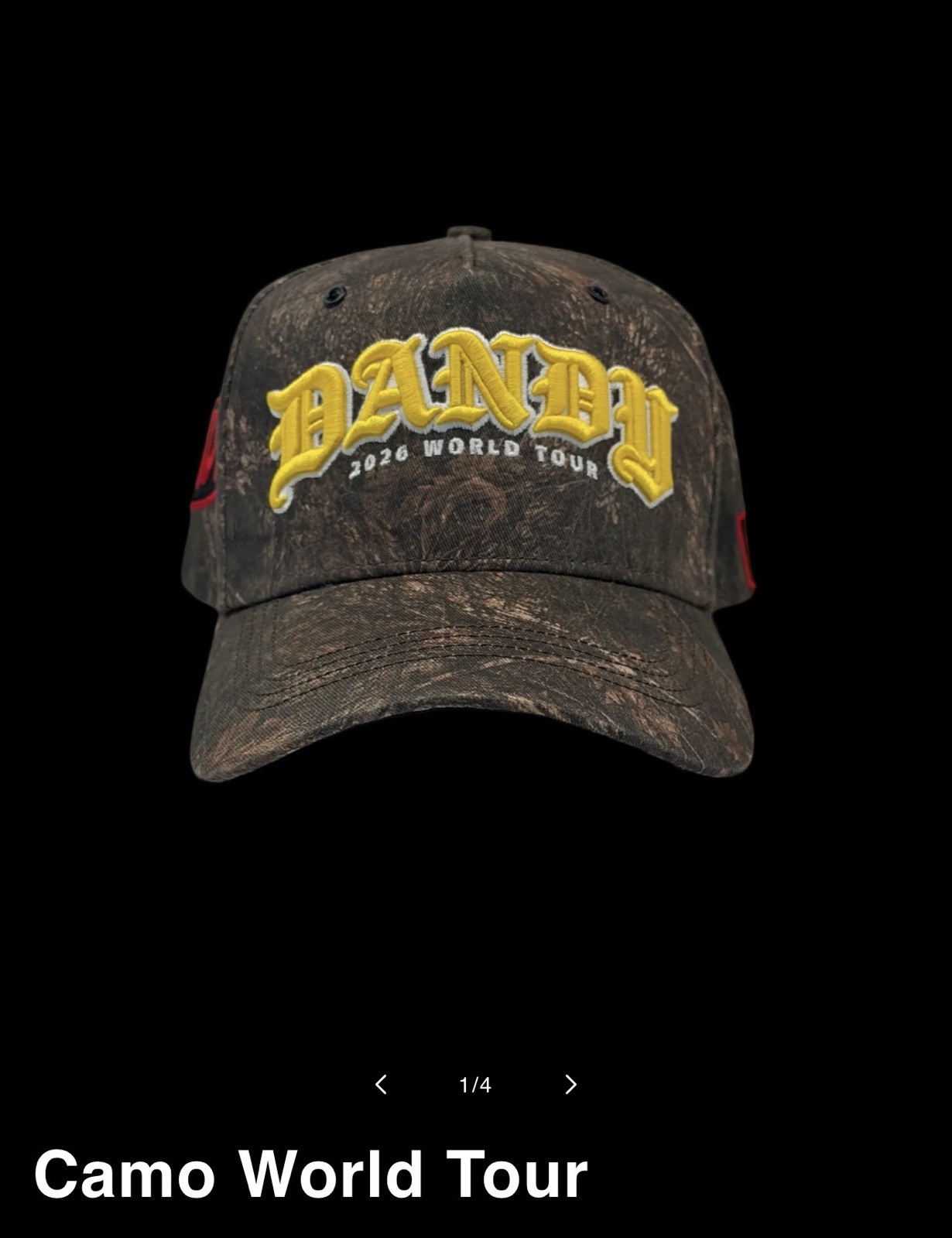 DANDY HAT CAMO WORLD TOUR