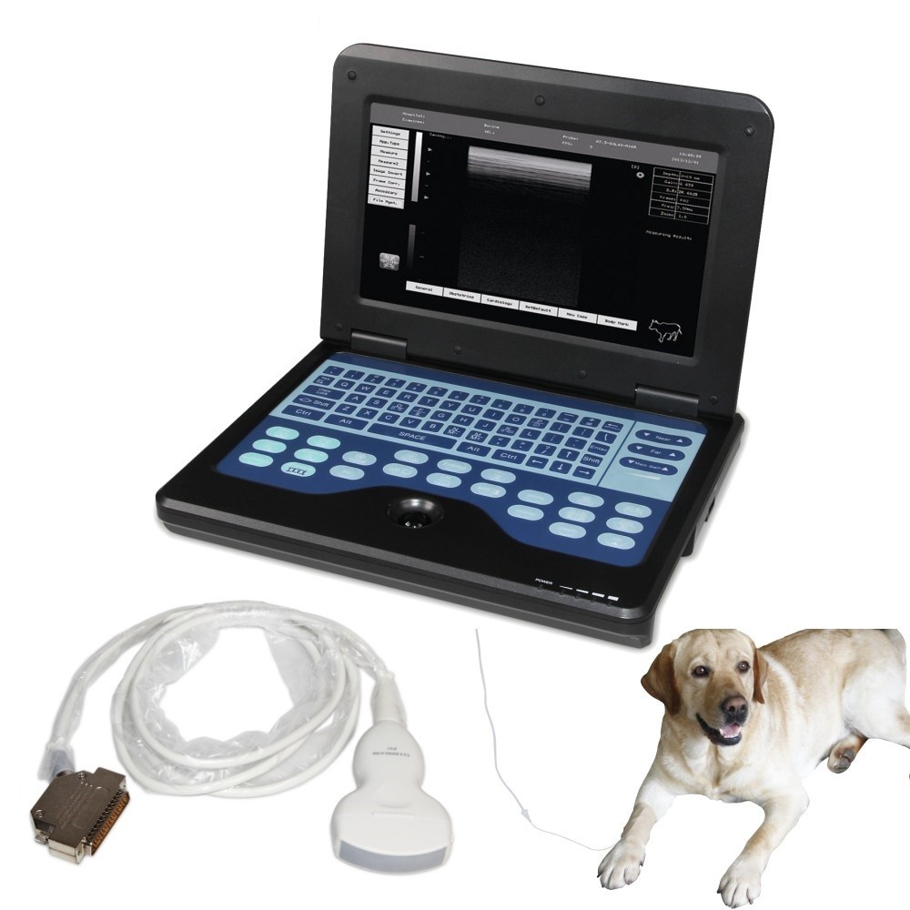 Veterinary Ultrasound Scanner Machine Diagnostic System Laptop with One Probe US