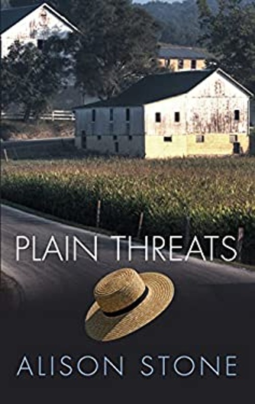 Plain Threats Hardcover Alison Stone