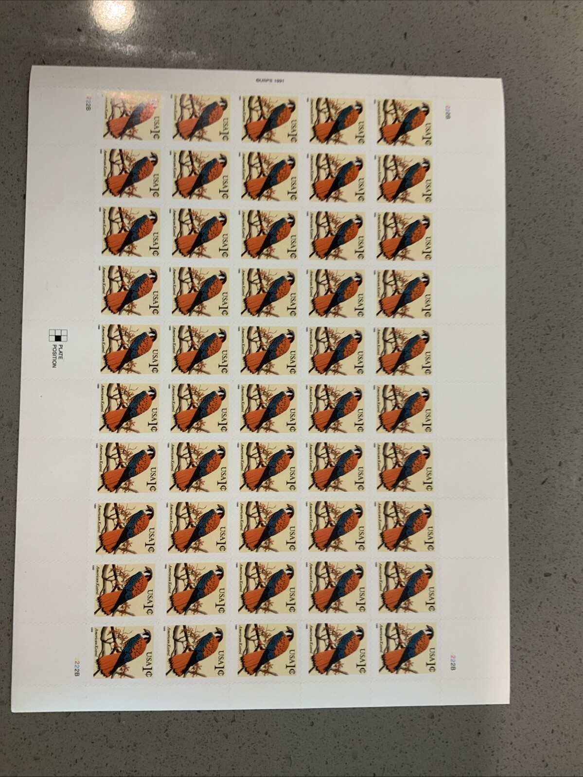 USPS American Kestrel Bird Stamp Sheet Block of 50 Stamps MNH