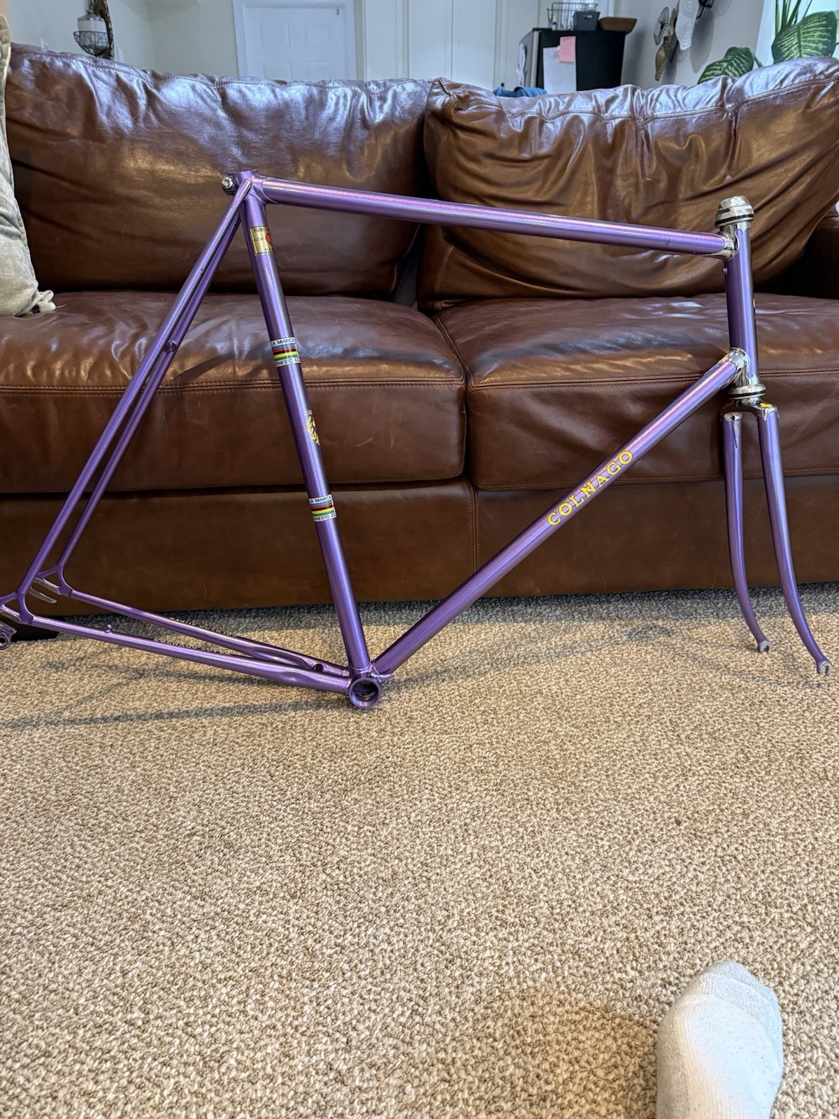 70’s Colnago Super Frame & Fork (XL) w/Campy Record Appears New Cond See Below