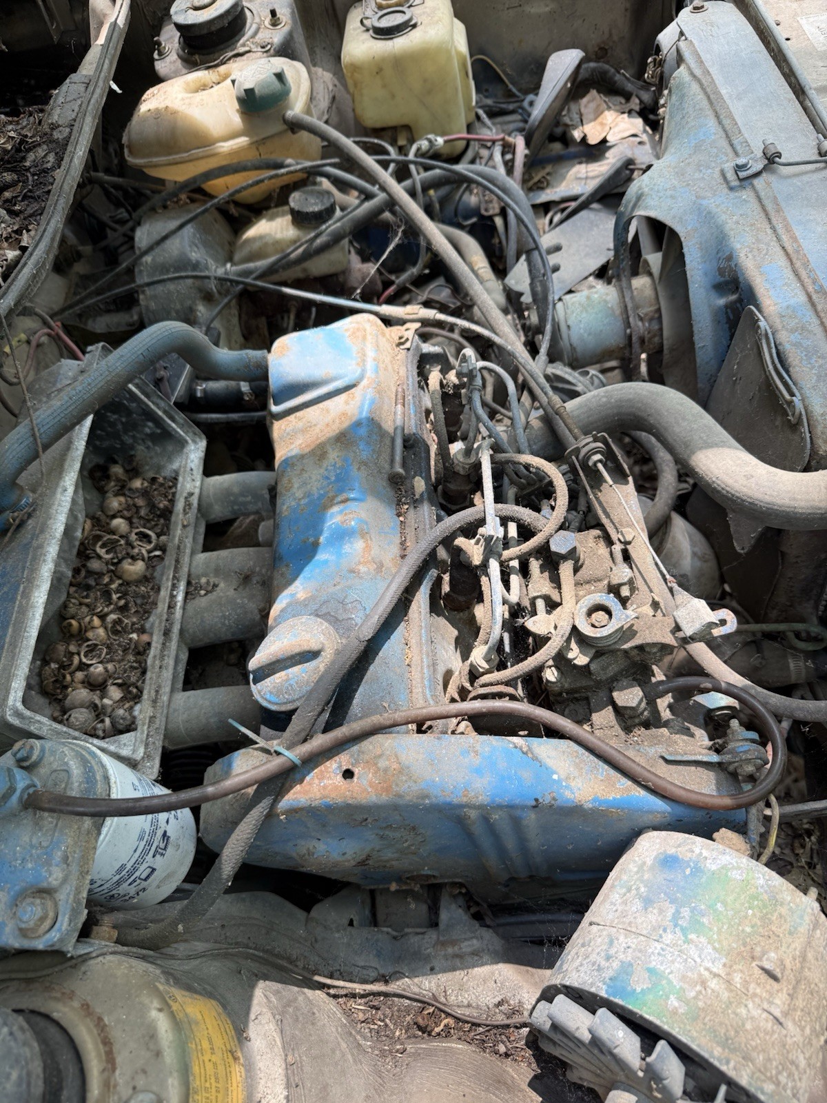 1981 vw rabbit Engines