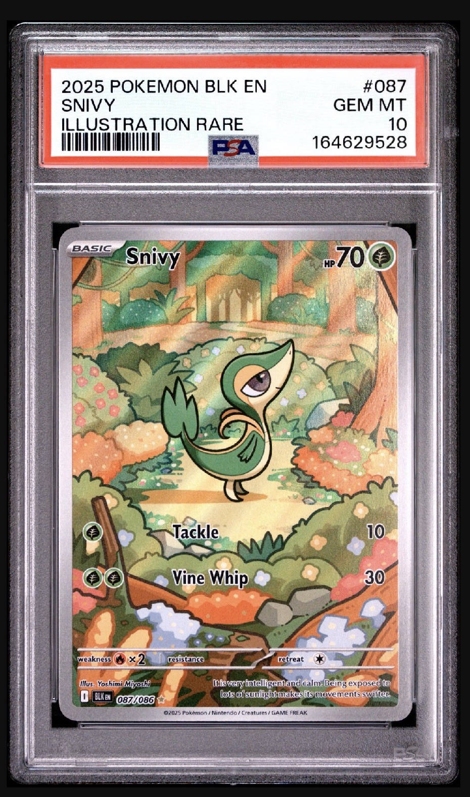 2025 POKEMON BLACK BOLT ILLUSTRATION RARE #087 SNIVY ENGLISH PSA 10 HOT