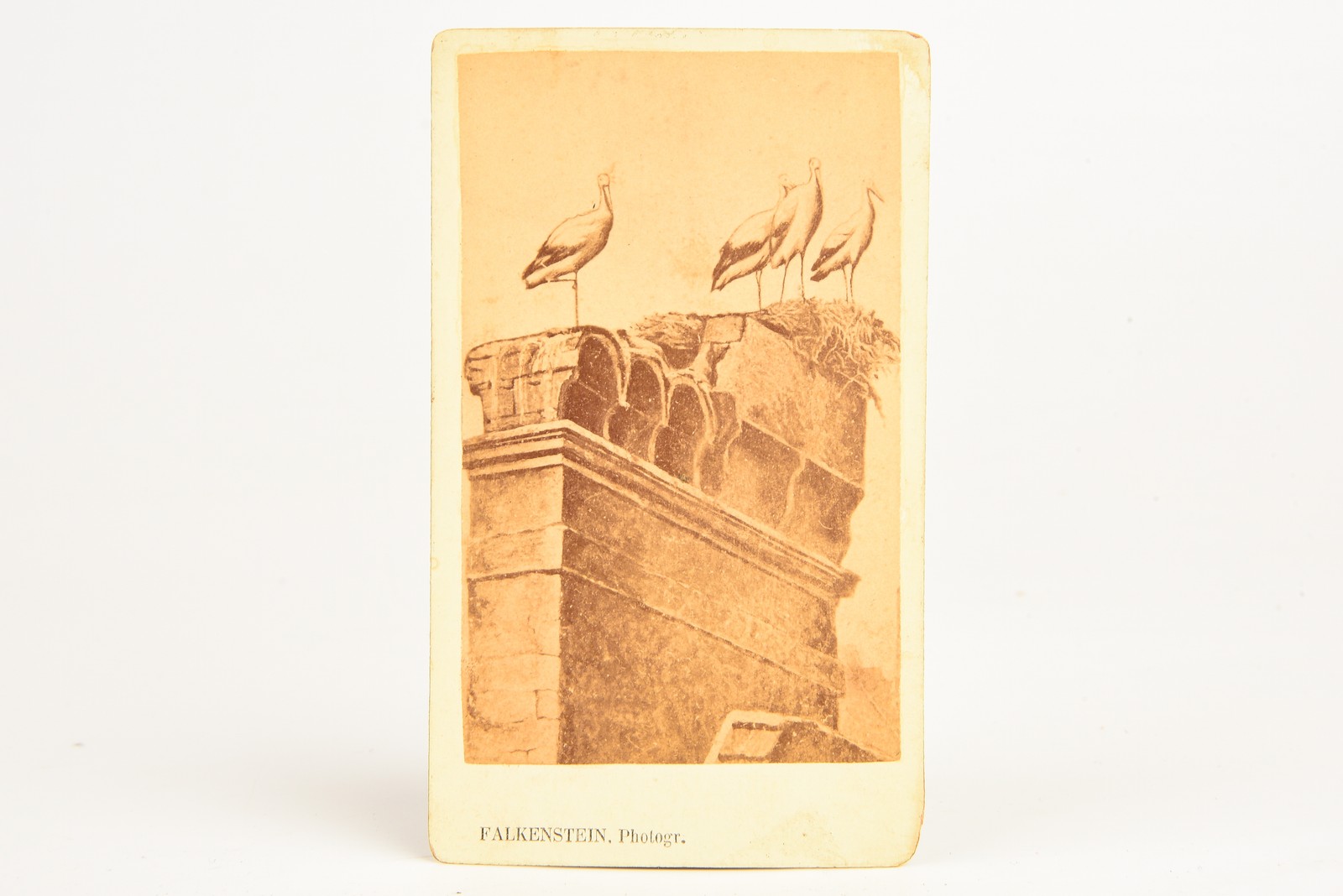 1860s CDV Carte-de-visite Albumen Photo - Storkes Nest By: Falkenstein V25