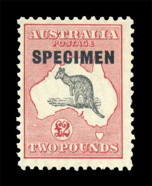 [AUSTRALIA] 1929 £2 Kangaroo SPECIMEN SG114s Perf 12 MNH VF Gum CA3507