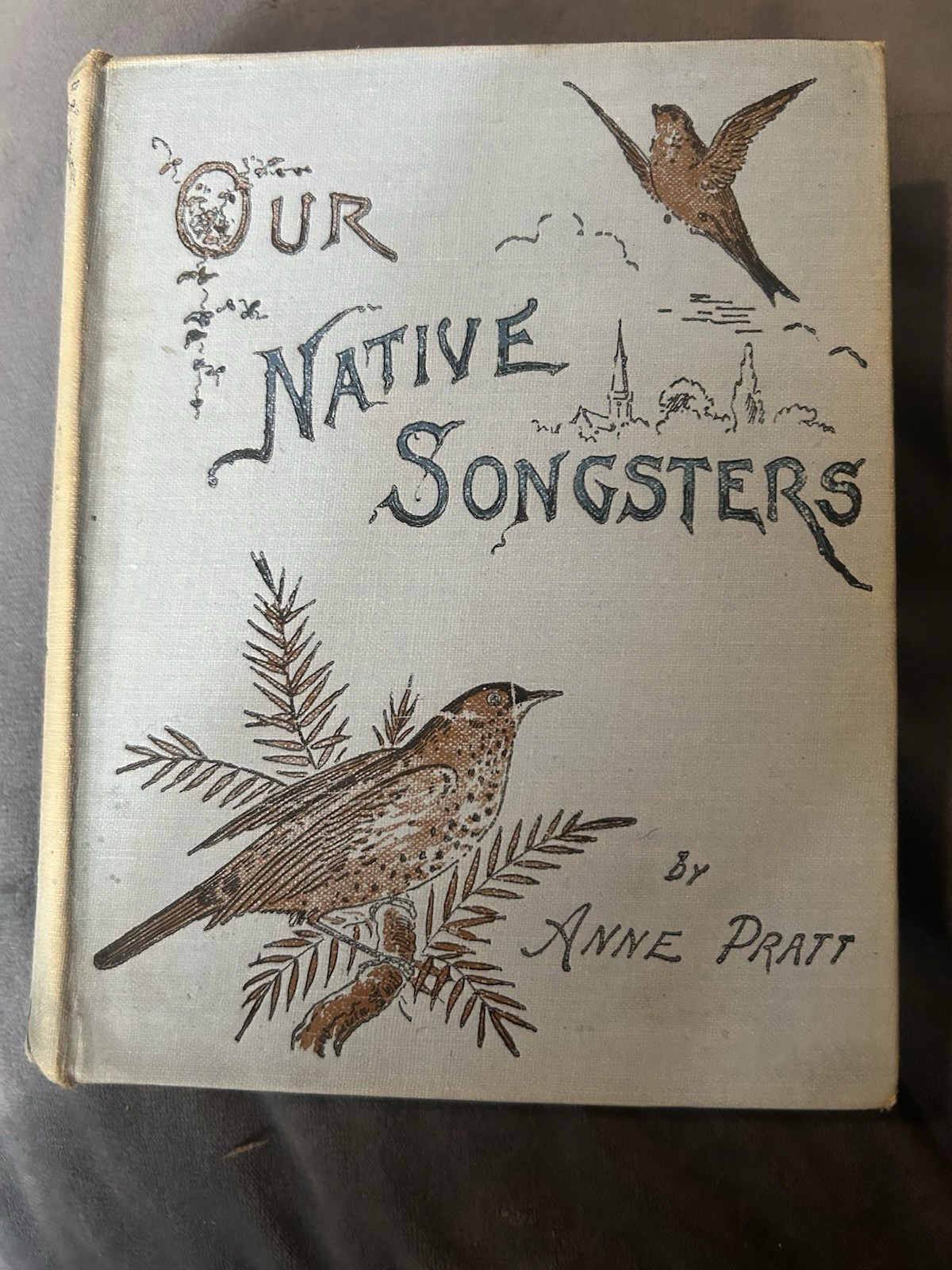 Our Native Songsters by Anne Pratt 1889 ed very good Our Native Songsters by Anne Pratt 1889 ed very good
