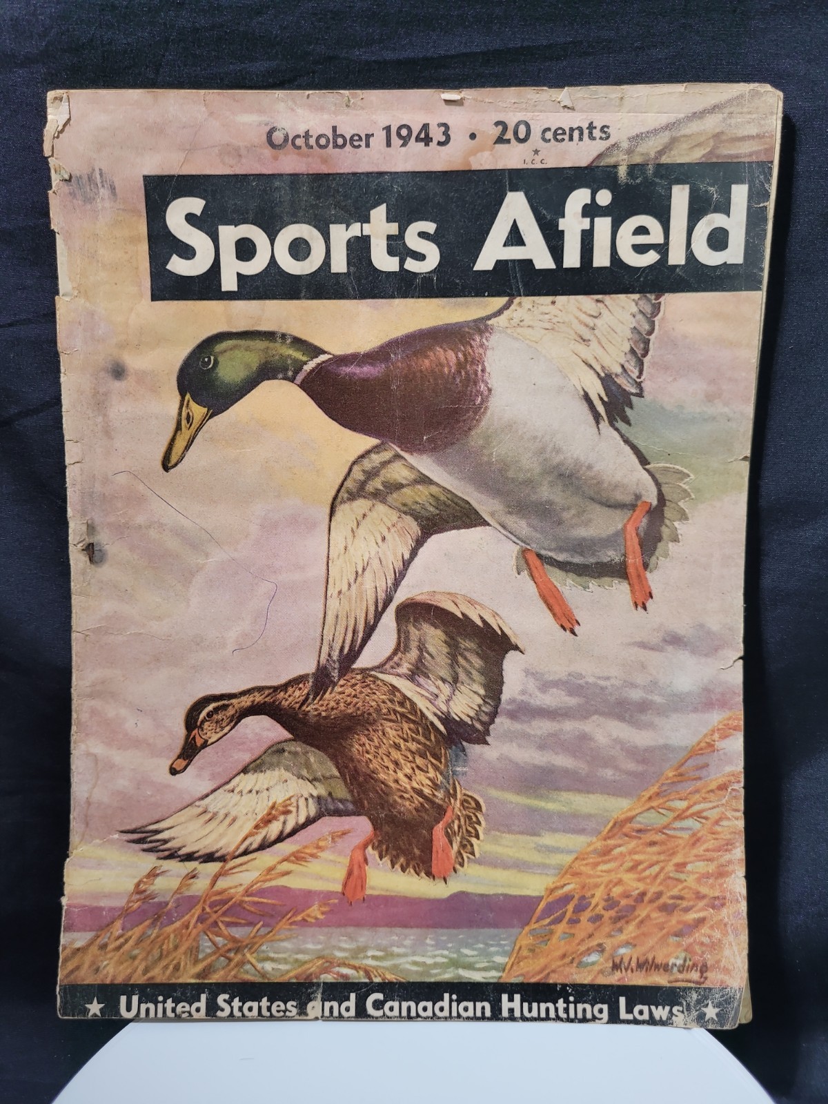 Sports Afield October 1943 - US and Canadian Hunting Laws / Moose in Canoe Count