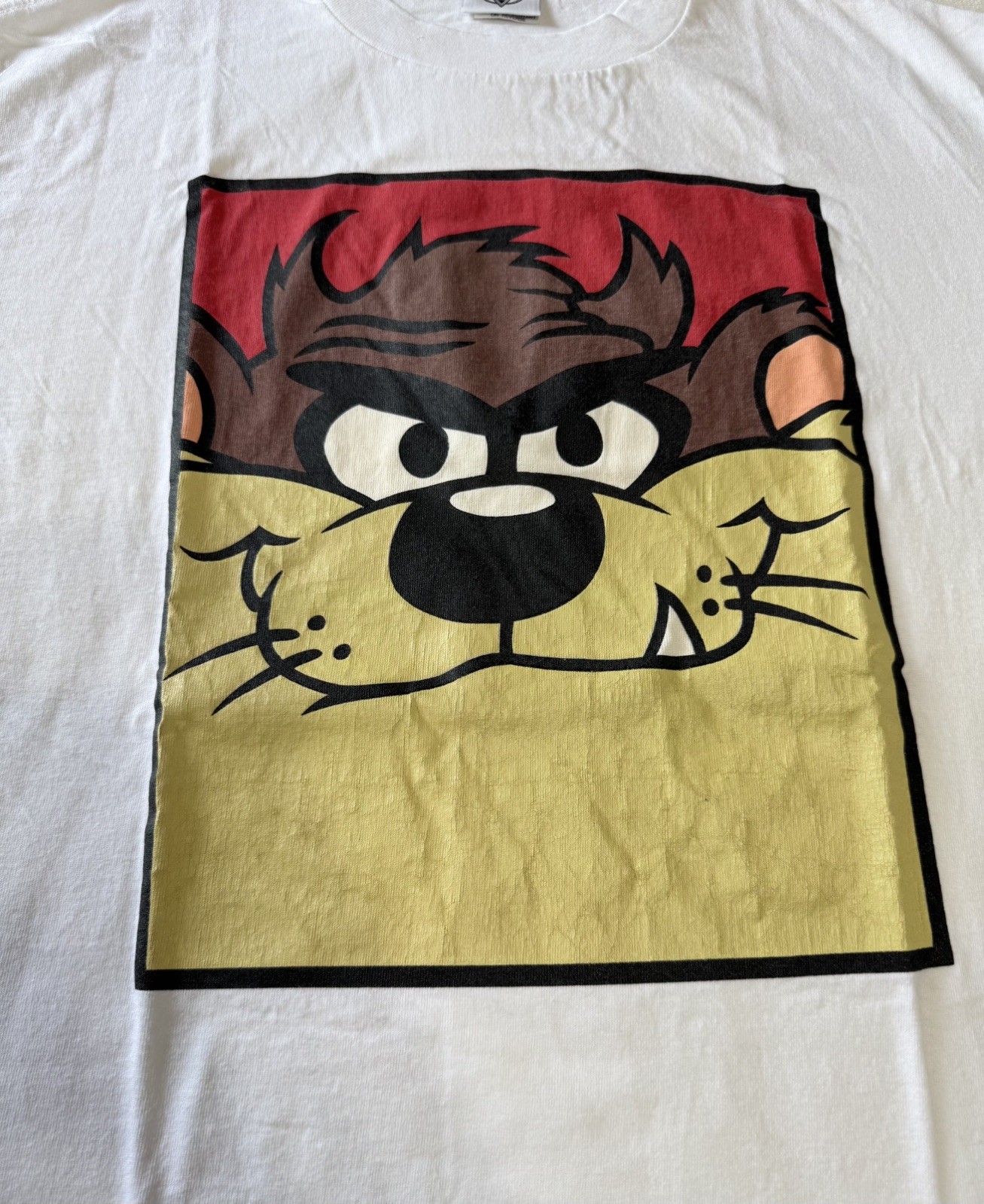 Vintage Looney Tunes Taz Box Logo 1991 Single Stitch VTG Acme Clothing Tag Sz L