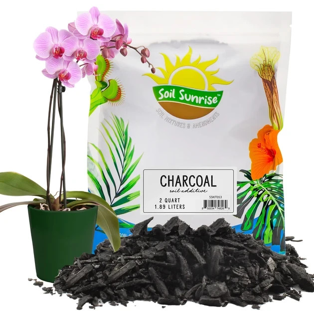 2 Quarts Horticultural Charcoal for Indoor Plants, Organic Activated black 