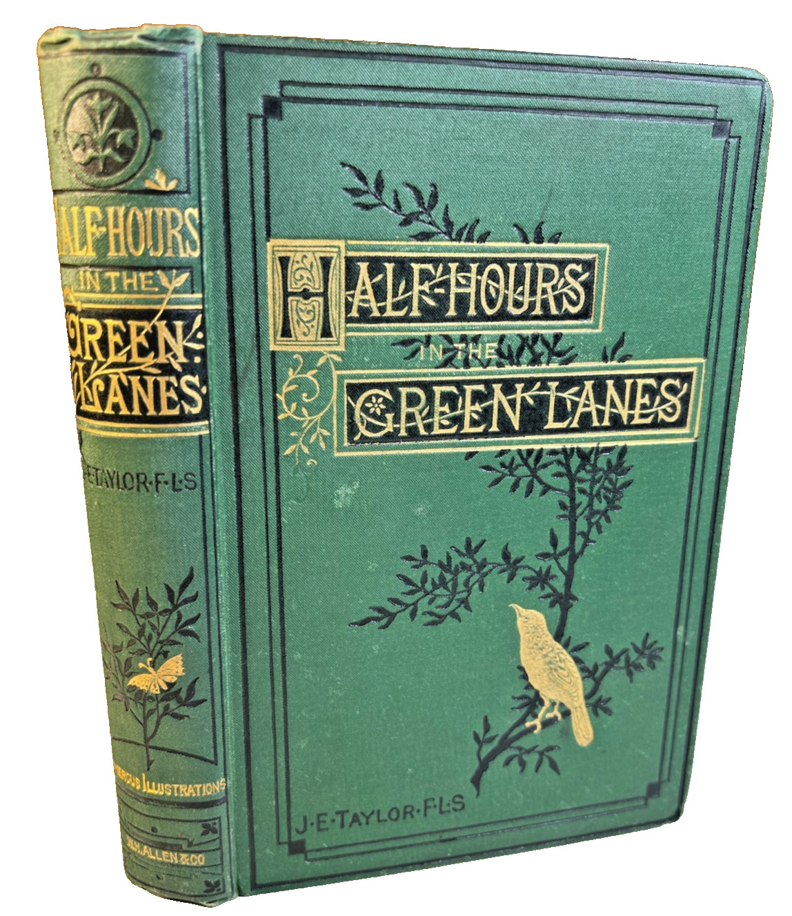 Antique 1884 “Half-Hours In The Green Lanes” Victorian Nature Book Ornate Gilded