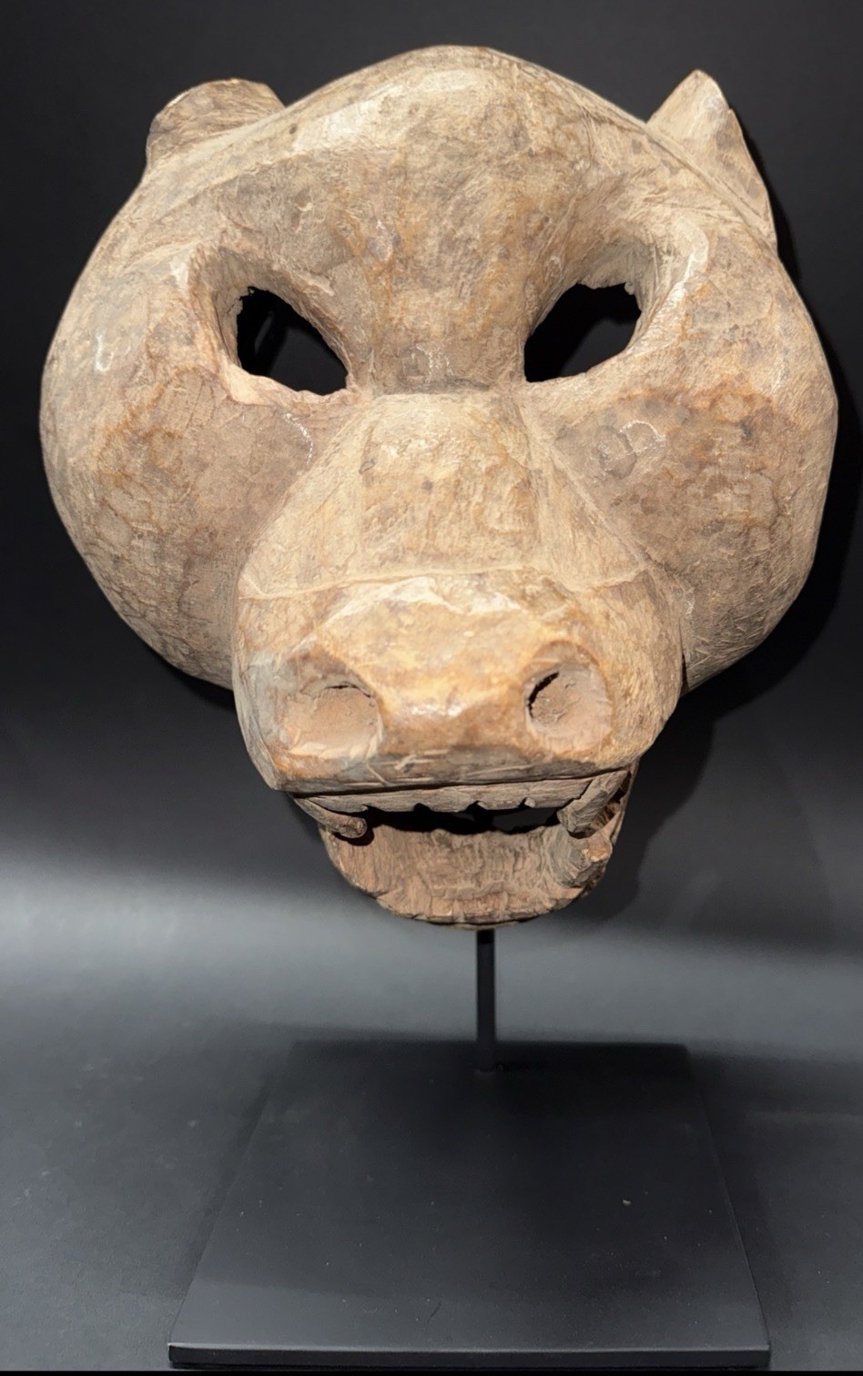 an authentic old antique african lion mask bamana mali