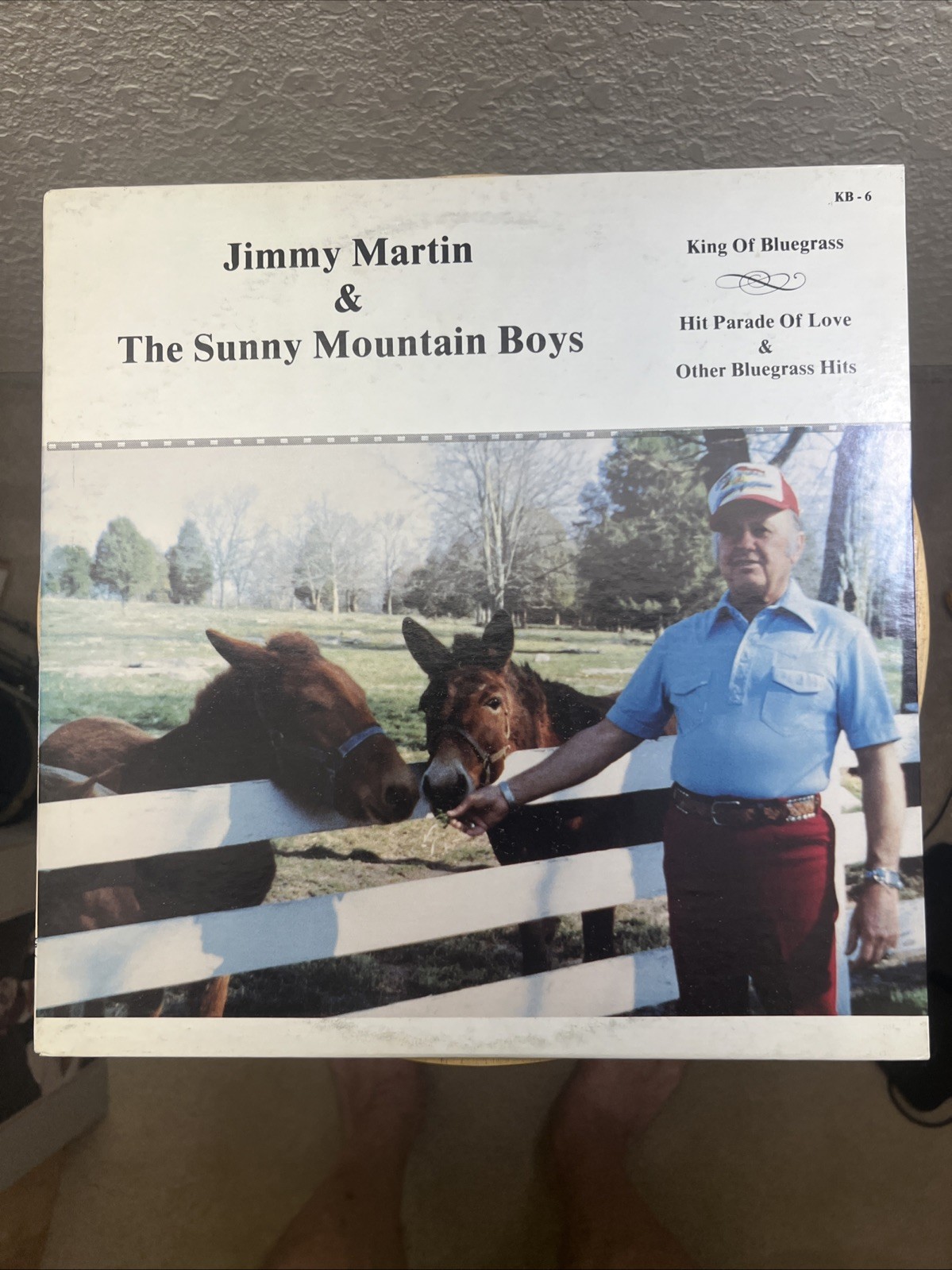 JIMMY MARTIN & SUNNY MOUNTAIN BOYS-THE KING OF BLUEGRASS VOLUME 6 - KB-6