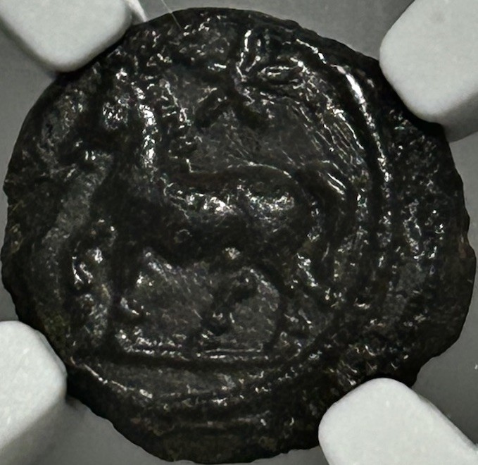 Macedon Thessalonica AE12 1st Century BC Horse Ethnic NGC Ch VF Macedon Thessalonica AE12 1st Century BC Horse Ethnic NGC Ch VF