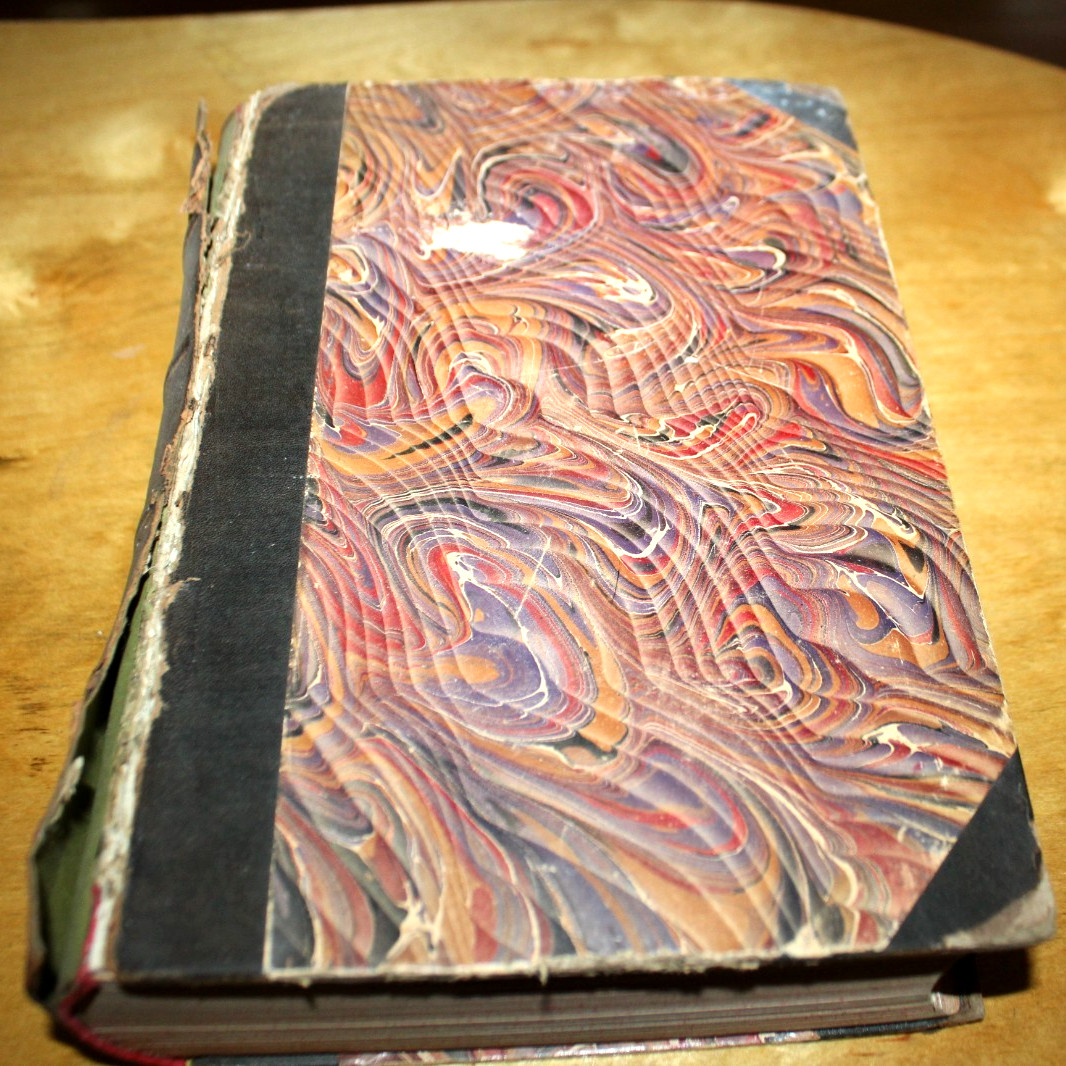 Antique Book 1884 Local History American Vol 1 Illustrated