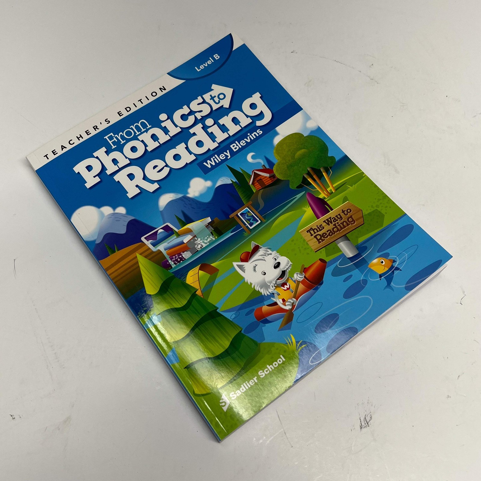 FROM PHONICS TO READING Level B Teachers Edition Wiley Blevins Paperback Book