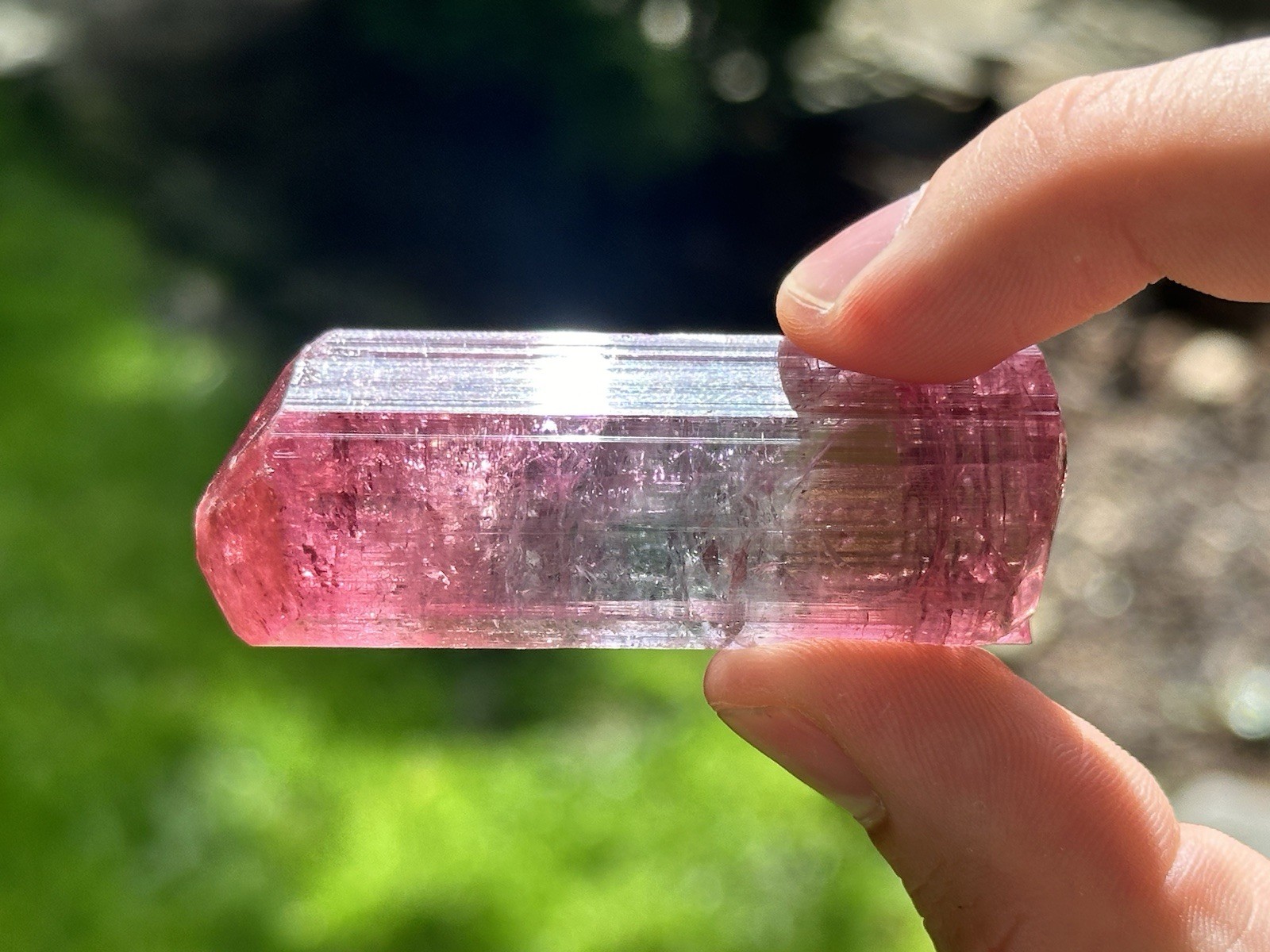 INCREDIBLY  RARE Tri-color Gemmy Tourmaline Crystal Specimen From Mozambique