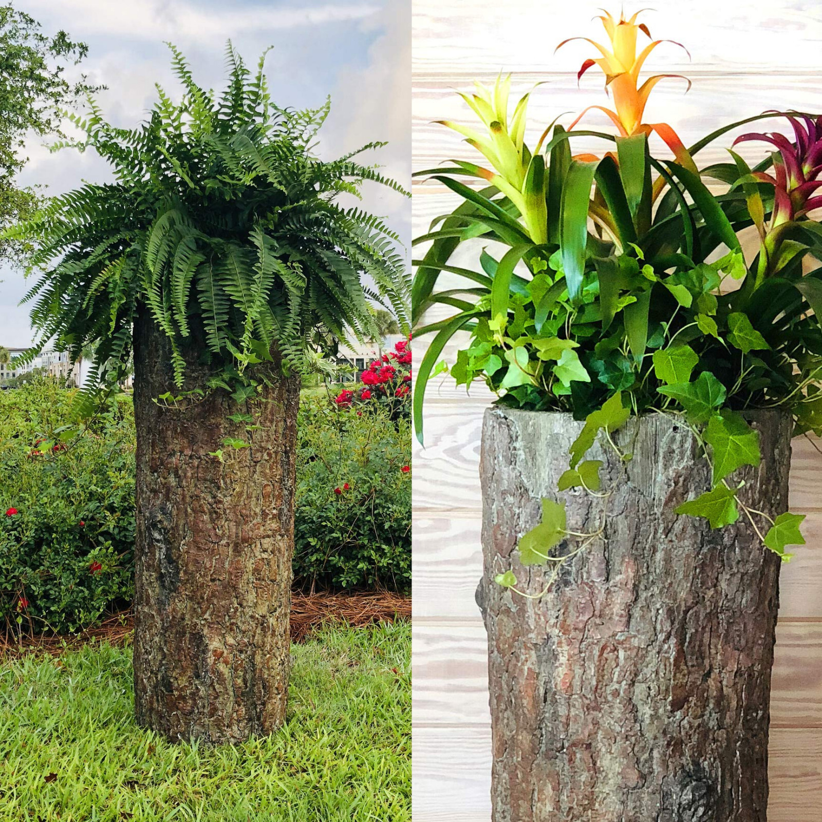 Bushy Box 🌳 Large Hollow Log Planter. Outdoor Garden, Well and Cable Box Cover