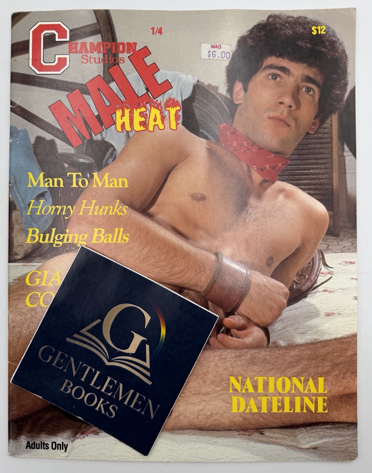 CHAMPION STUDIOS MALE HEAT Vol 1 4 1994 AL URBAN Jim Stryker Studio History HTF