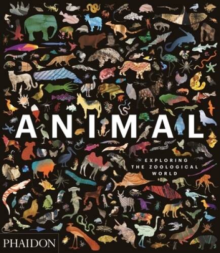 Animal: Exploring the Zoological World - Hardcover - VERY GOOD