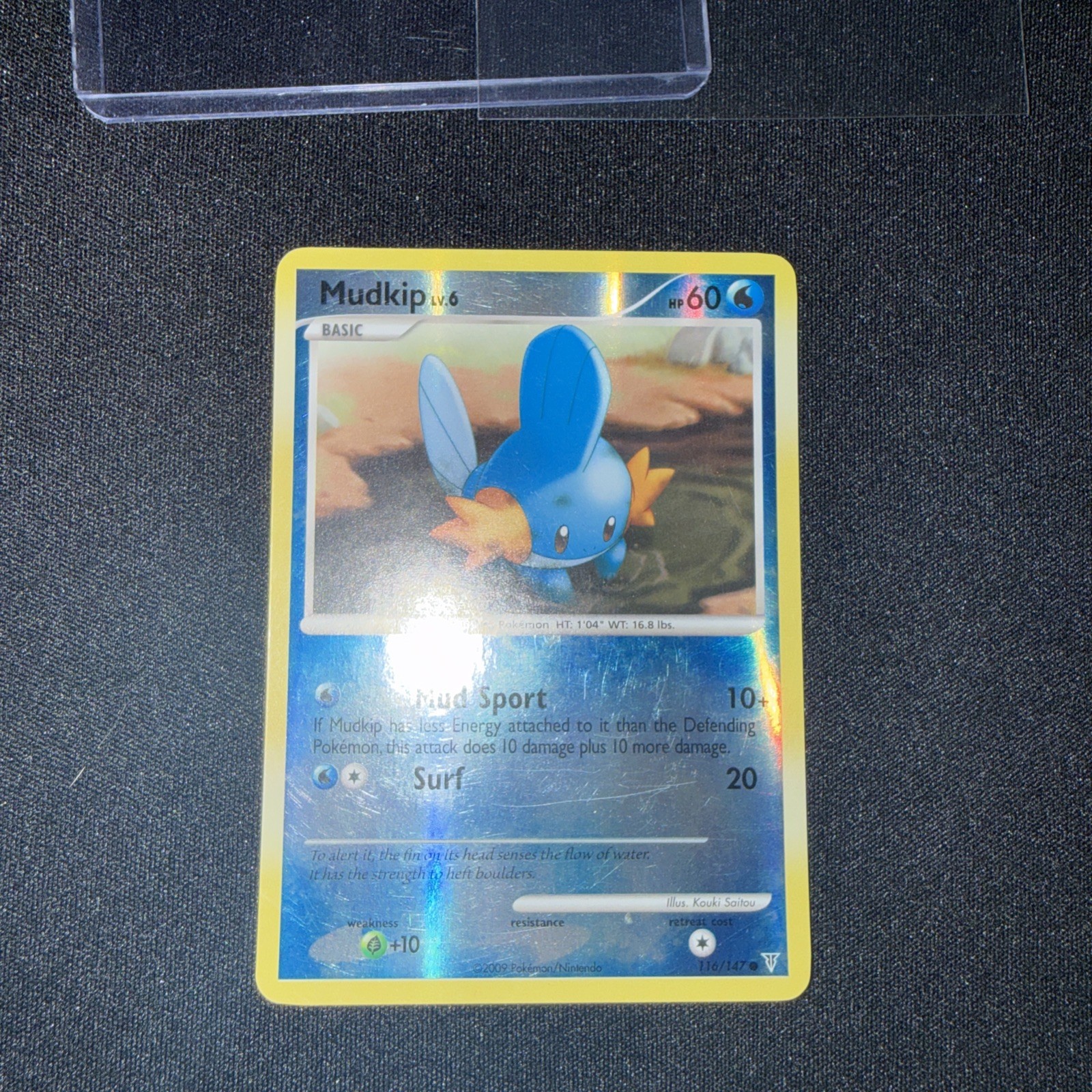 Pokemon Mudkip Reverse Holo Card 116/147 Supreme Victors 2009 Pokemon Mudkip Reverse Holo Card 116/147 Supreme Victors 2009