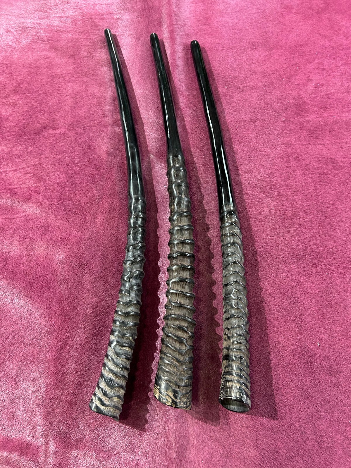 1 Oryx Shofar Kosher-Made Gemsbok Horn Shofar, Yemenite Oryx Horn Judaica Shofar